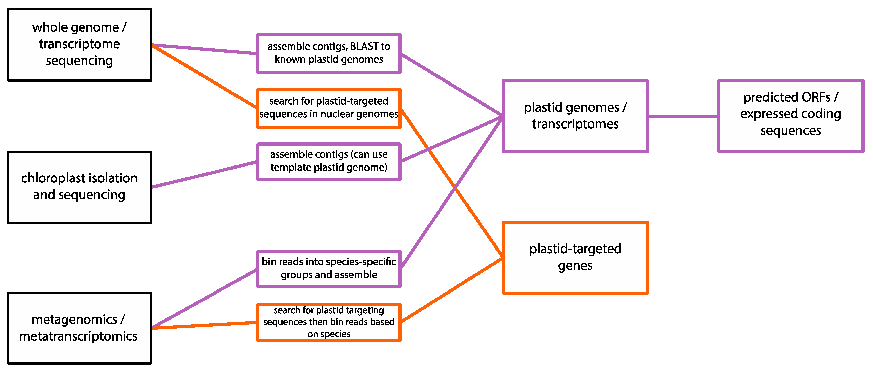Biomolecules 09 00299 g002