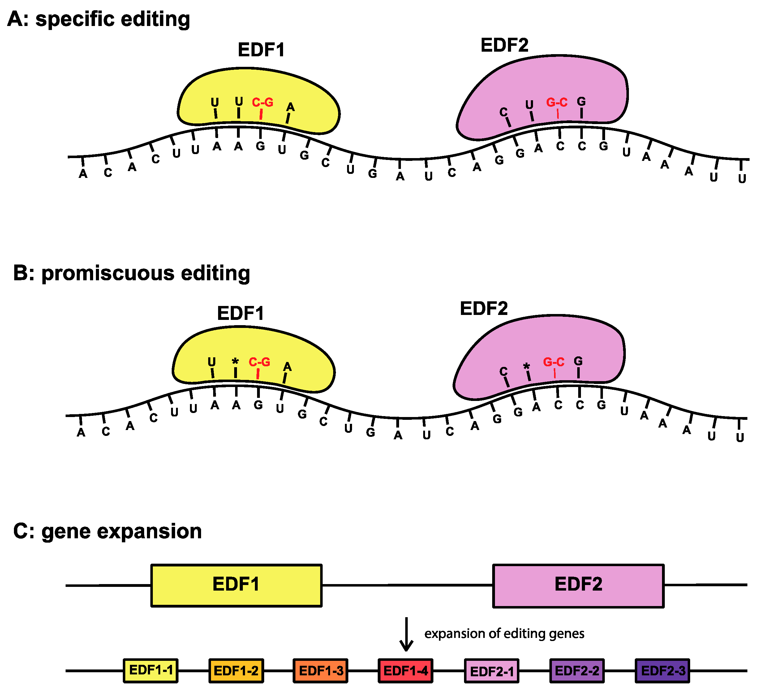 Biomolecules 09 00299 g004