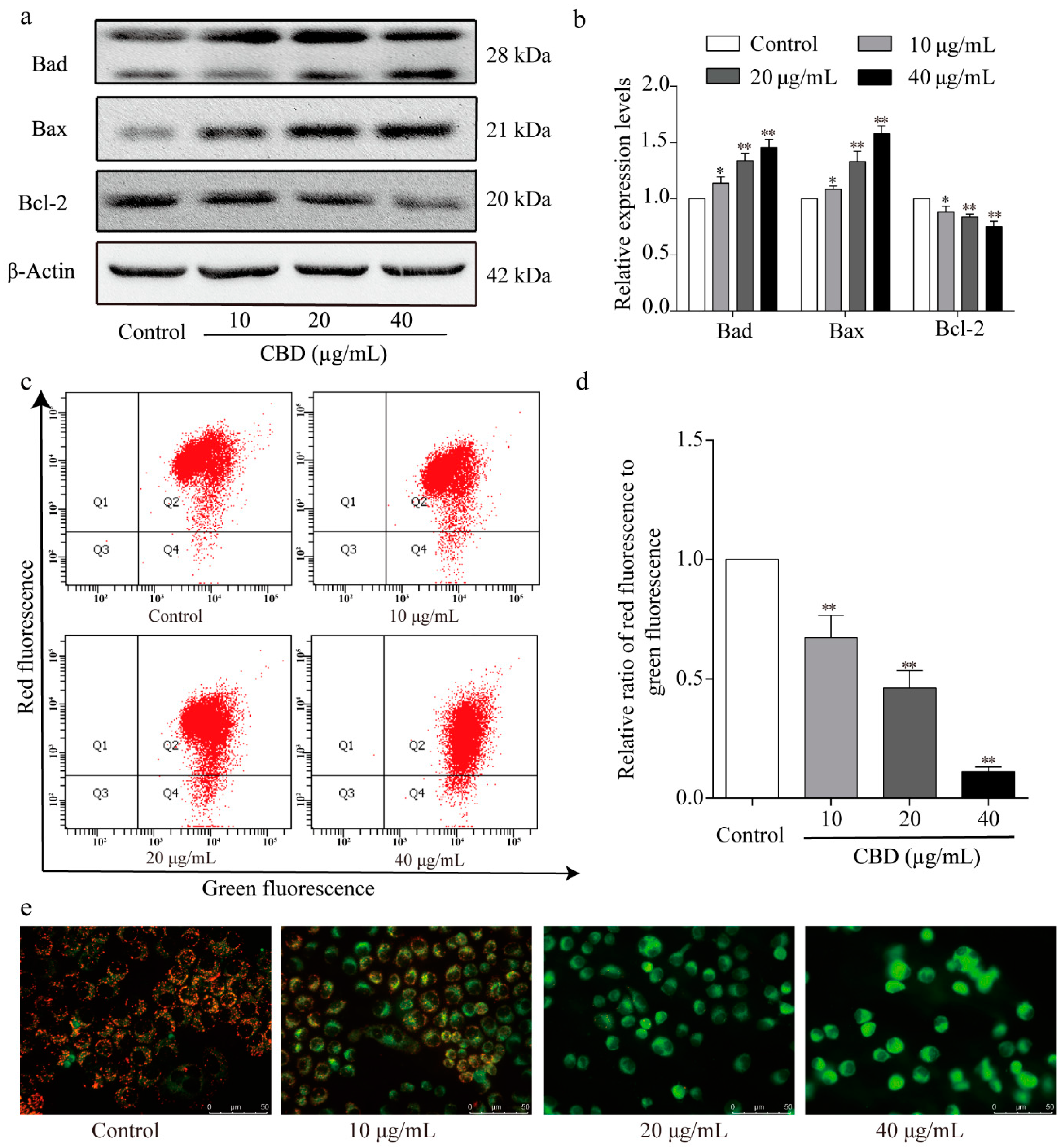 Biomolecules 09 00302 g006