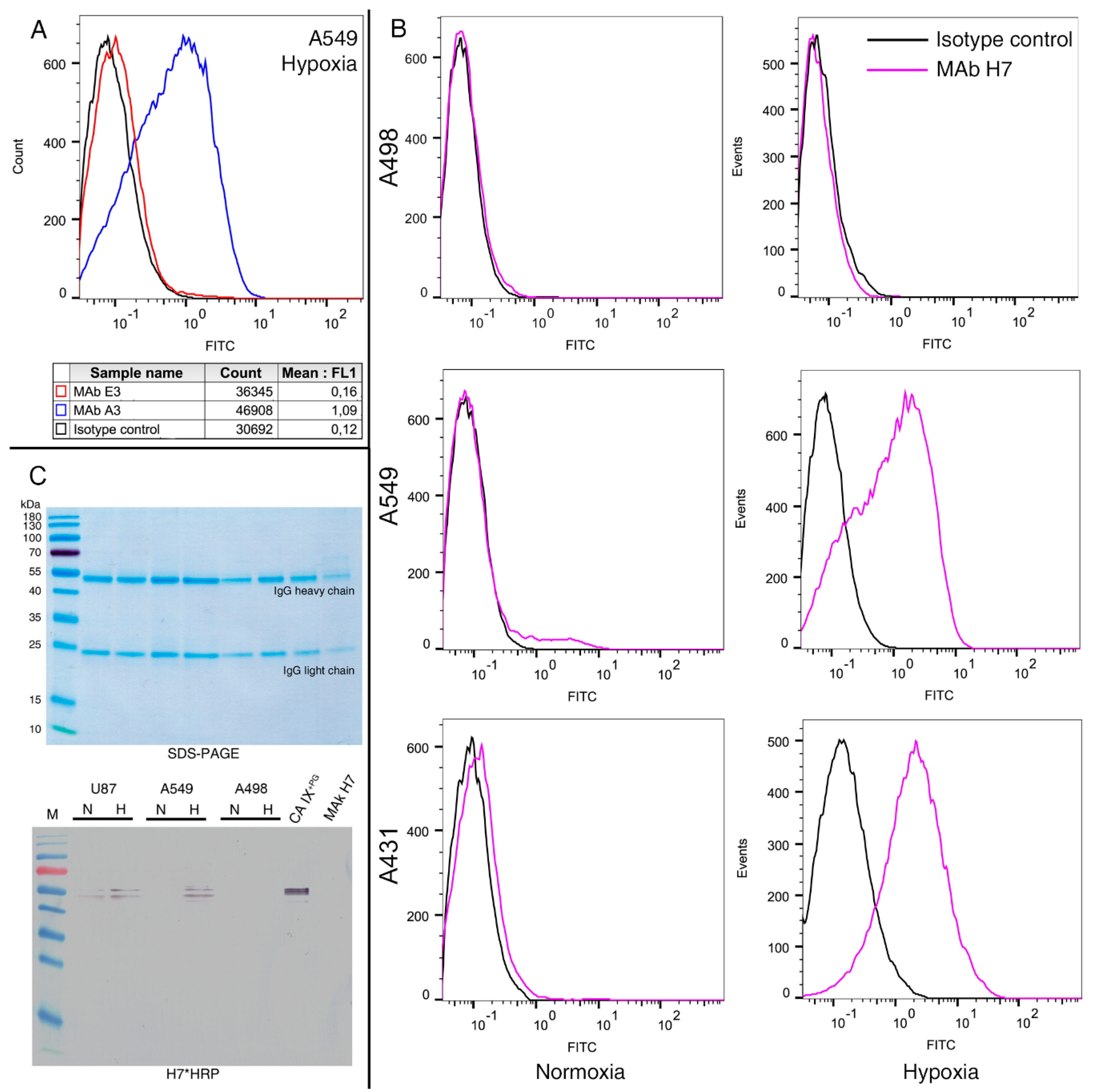 Biomolecules 09 00304 g002