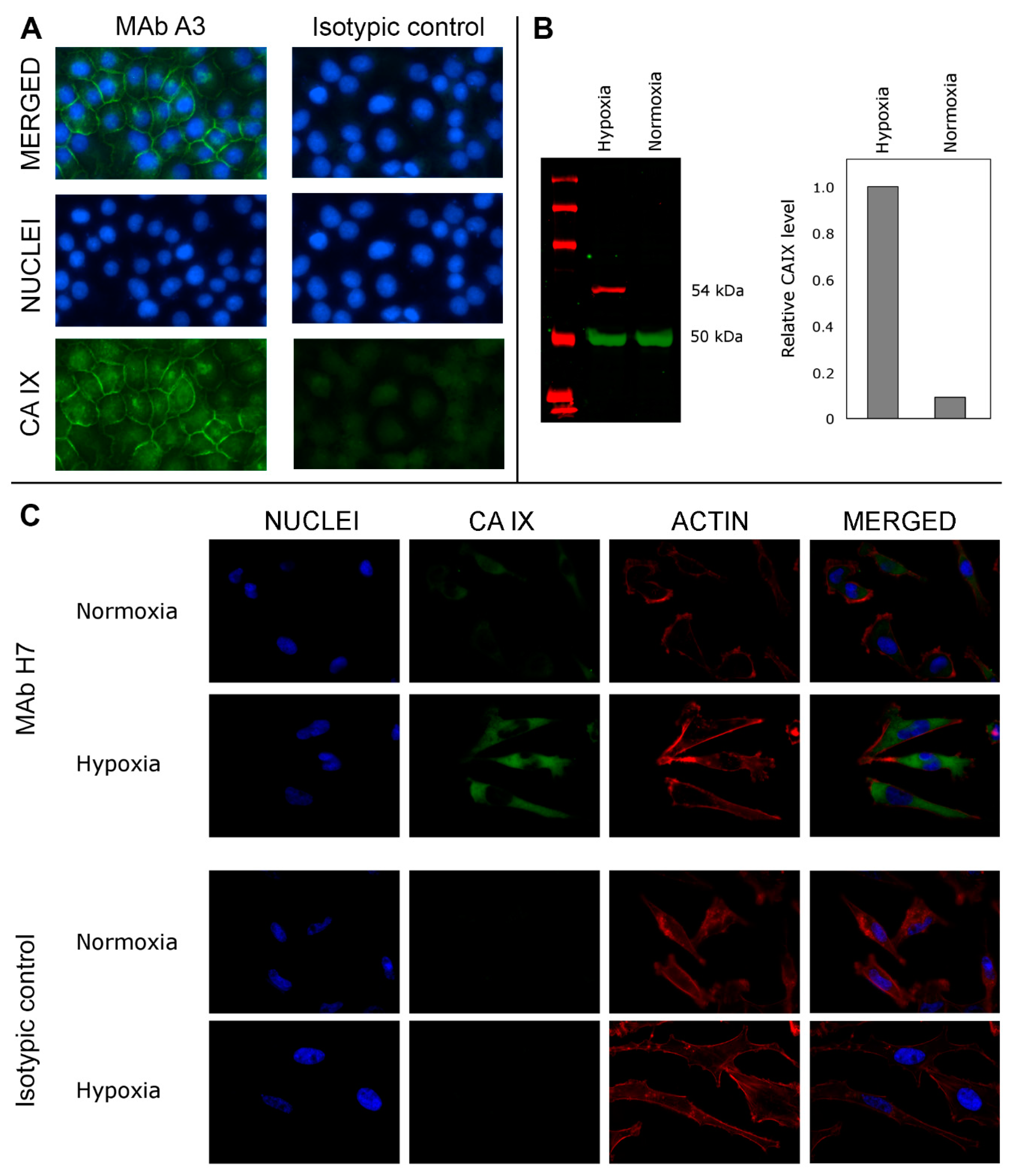 Biomolecules 09 00304 g003