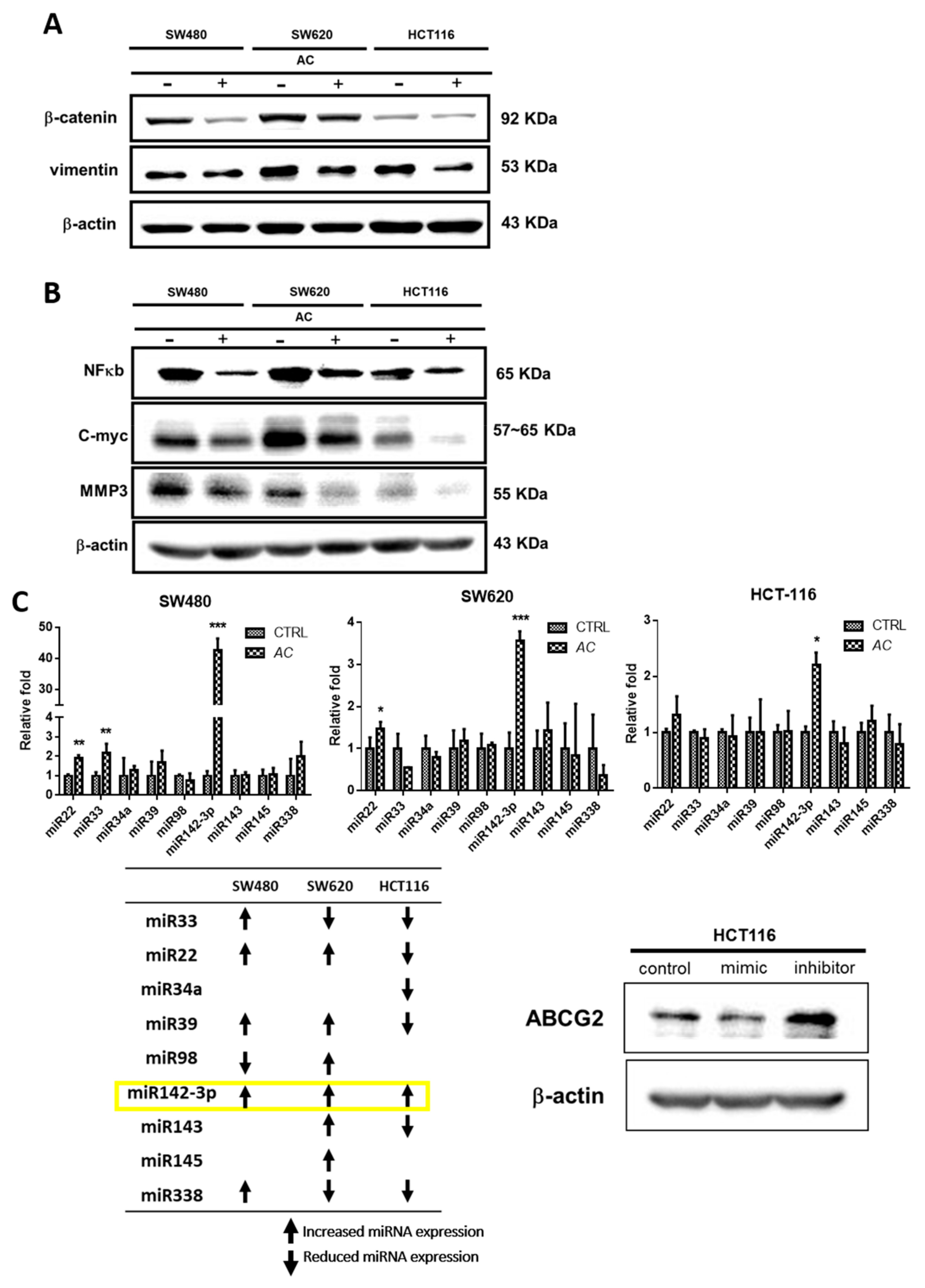 Biomolecules 09 00306 g004