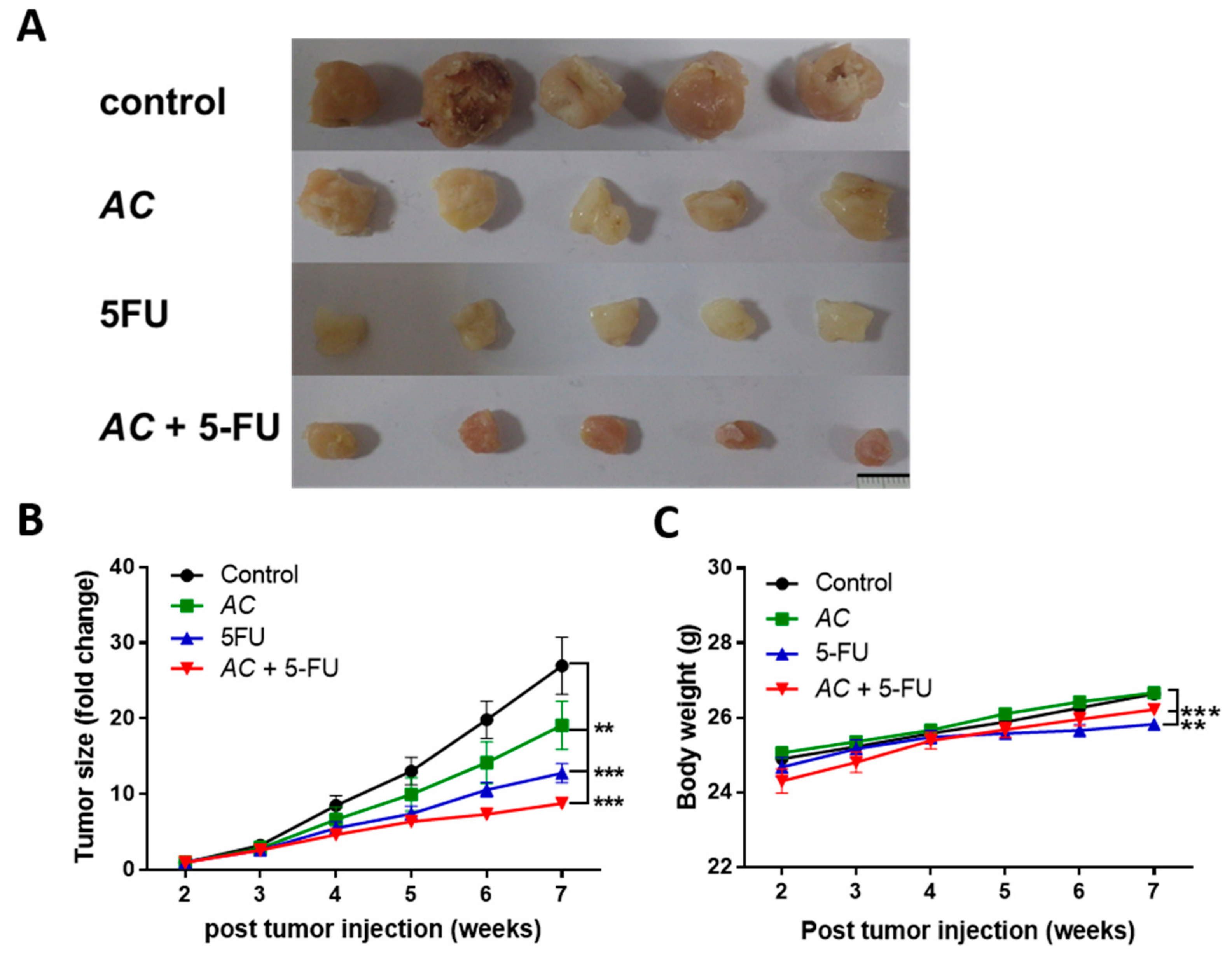 Biomolecules 09 00306 g005
