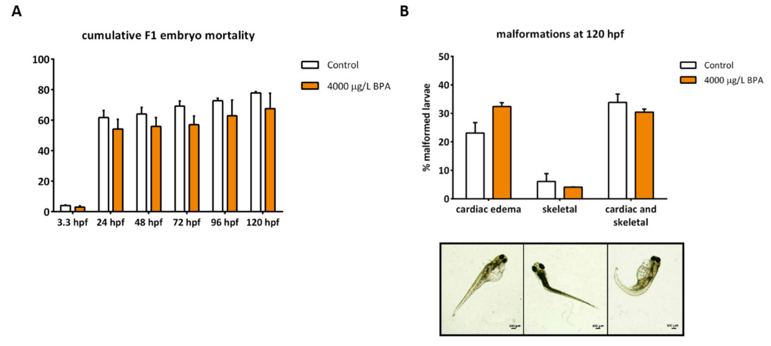 Biomolecules 09 00307 g005