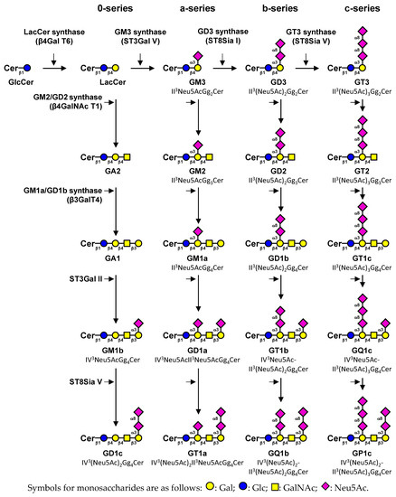 Biomolecules Free Full Text Gangliosides The Double Edge Sword Of Neuro Ectodermal Derived Tumors Html