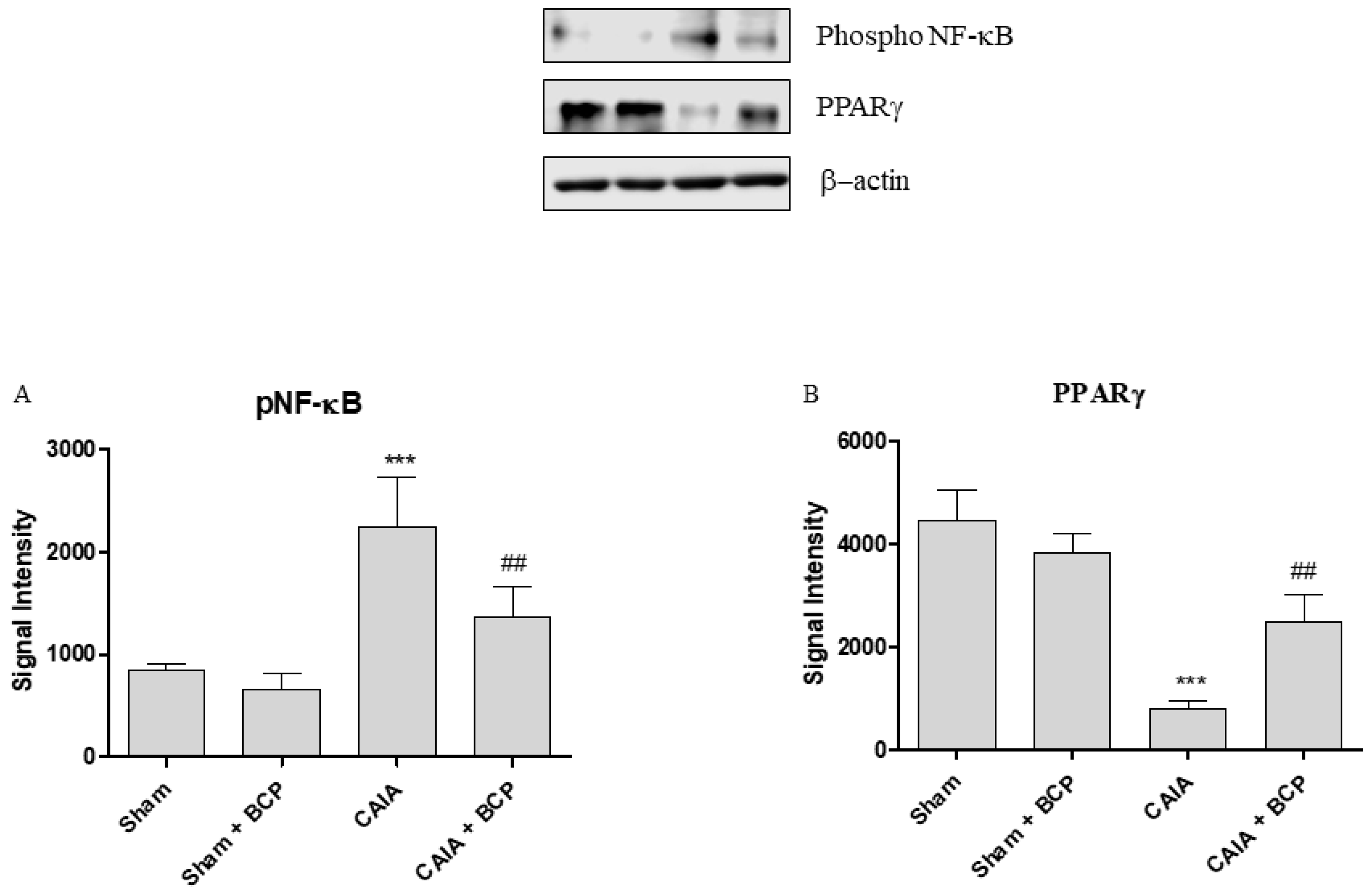 Biomolecules 09 00326 g007