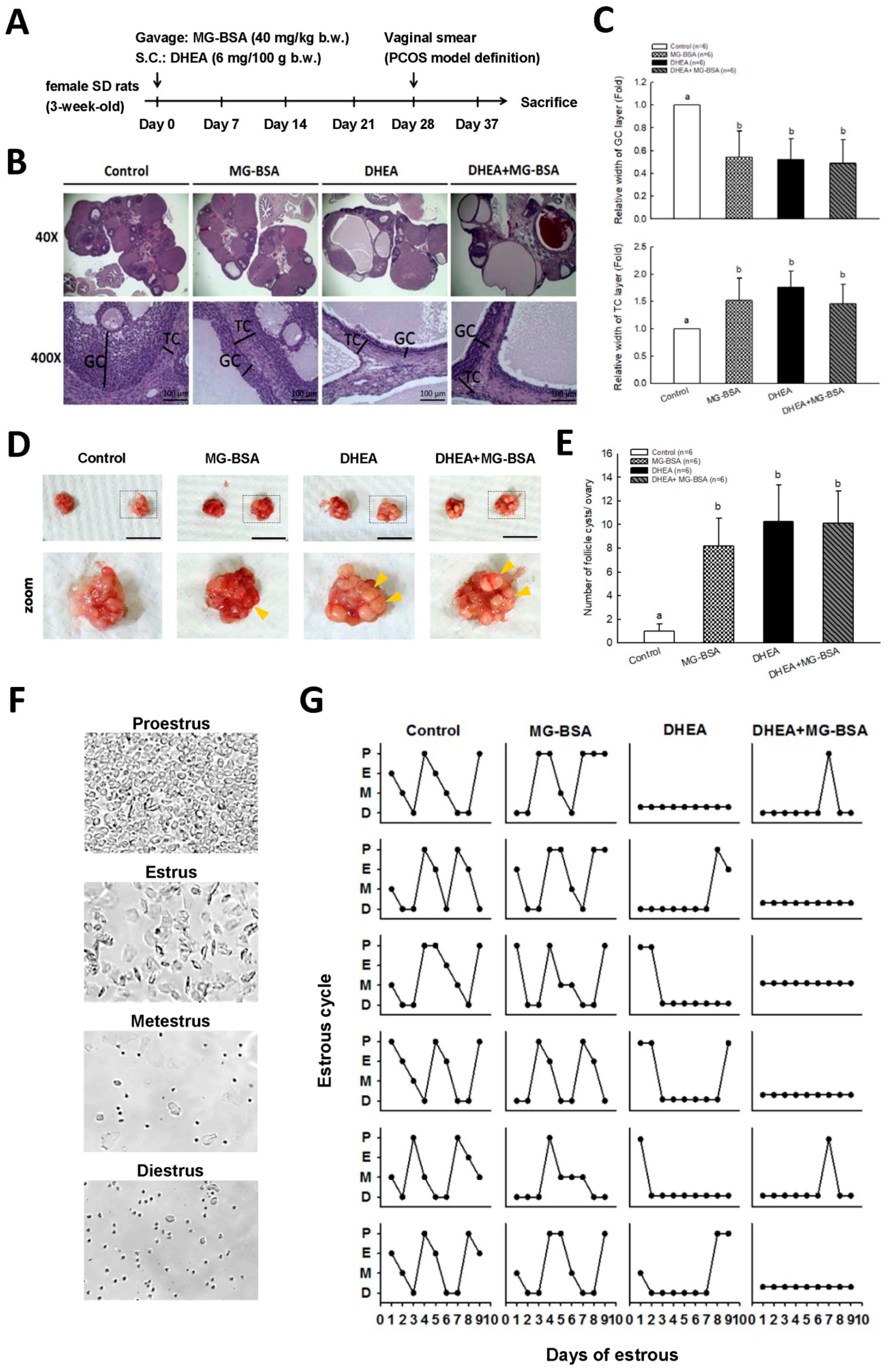 Biomolecules 09 00327 g005