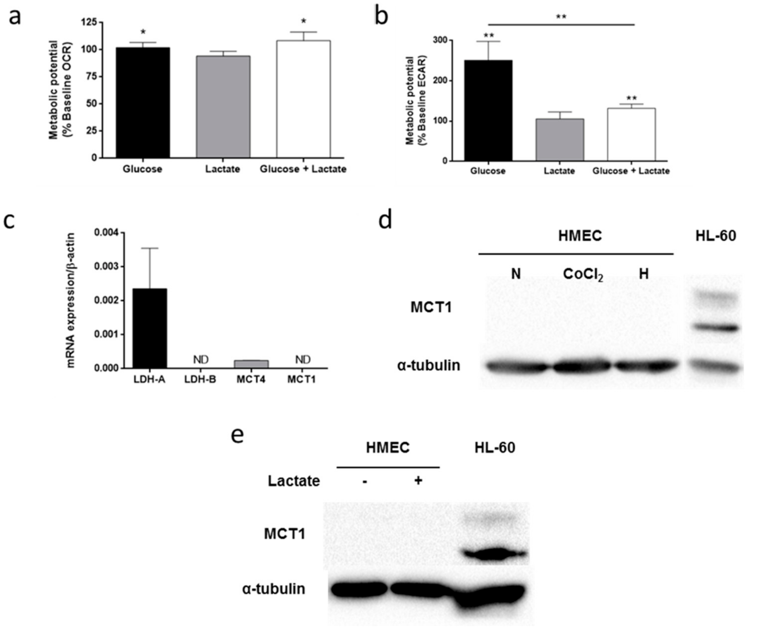 Biomolecules 09 00332 g008 Biomolecules 09 00332 g008