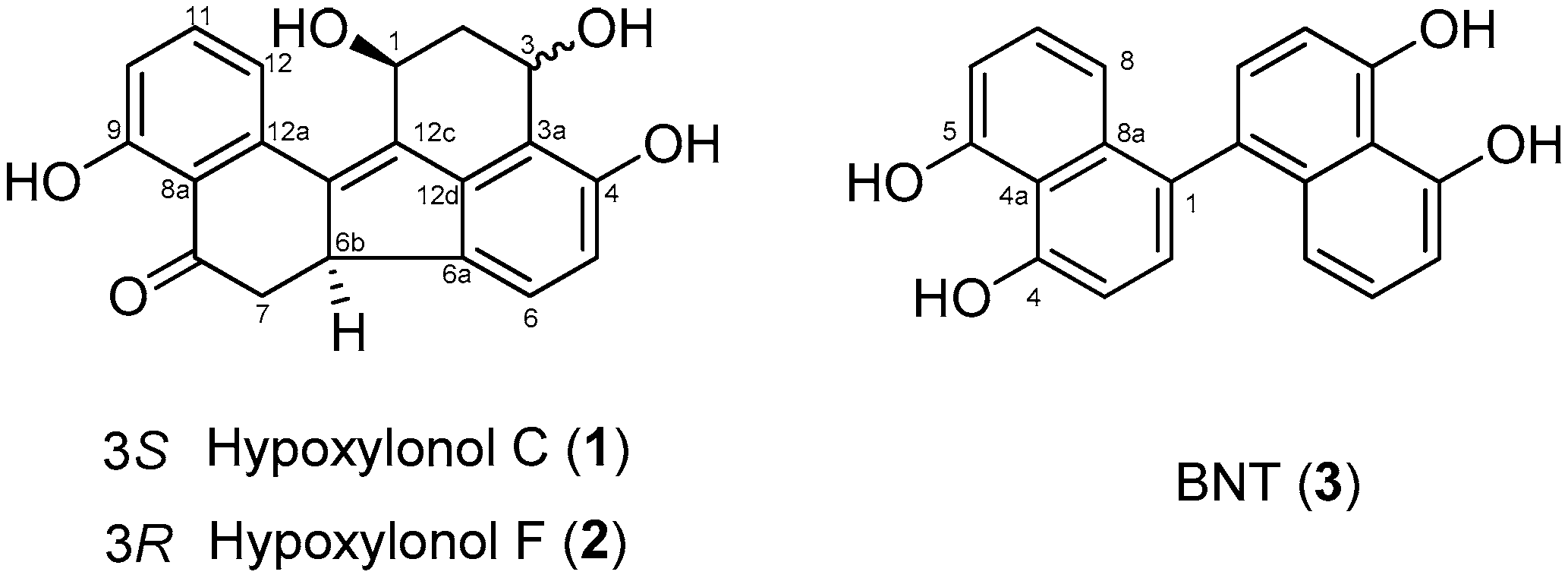 Biomolecules 09 00335 g001