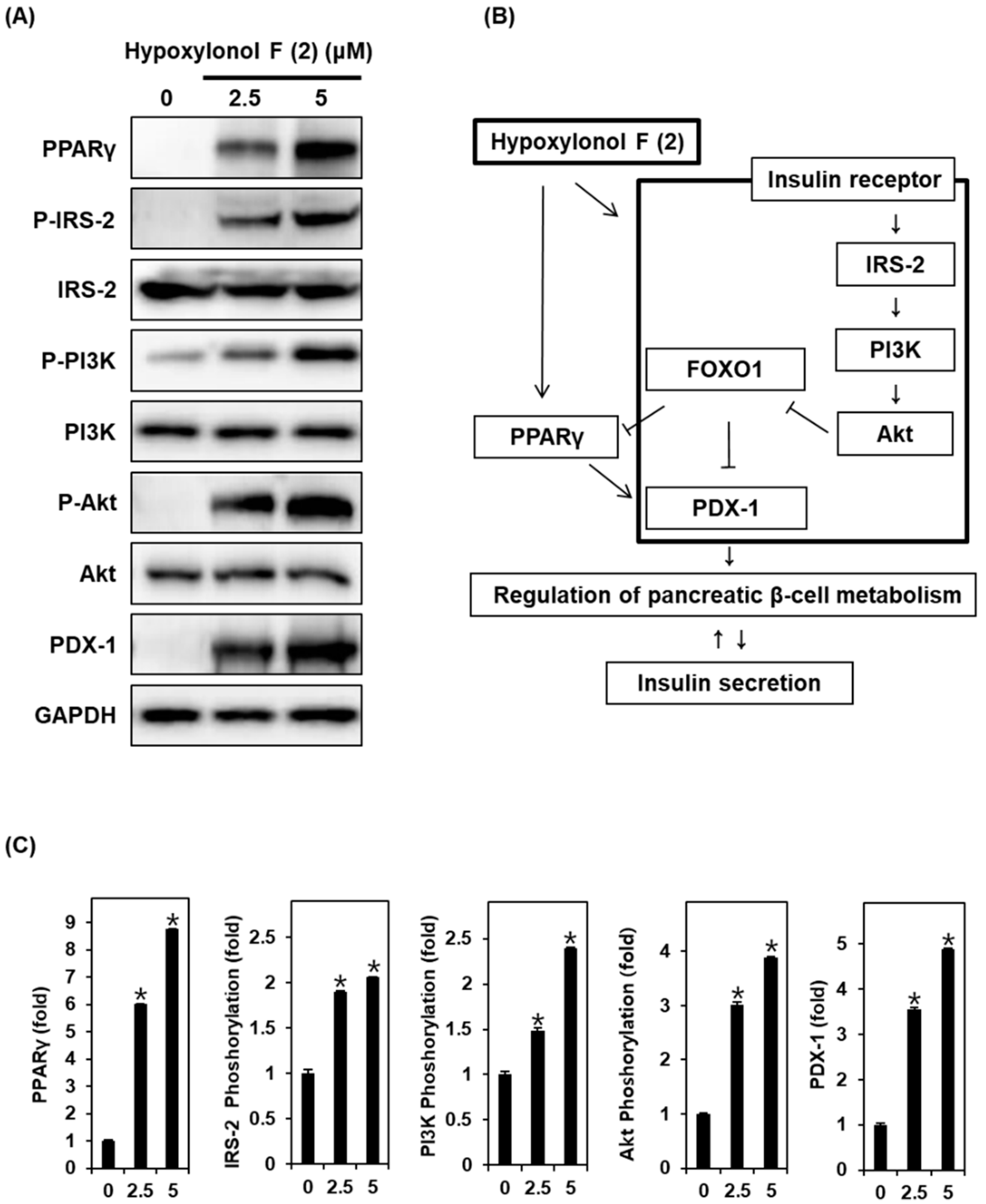 Biomolecules 09 00335 g004