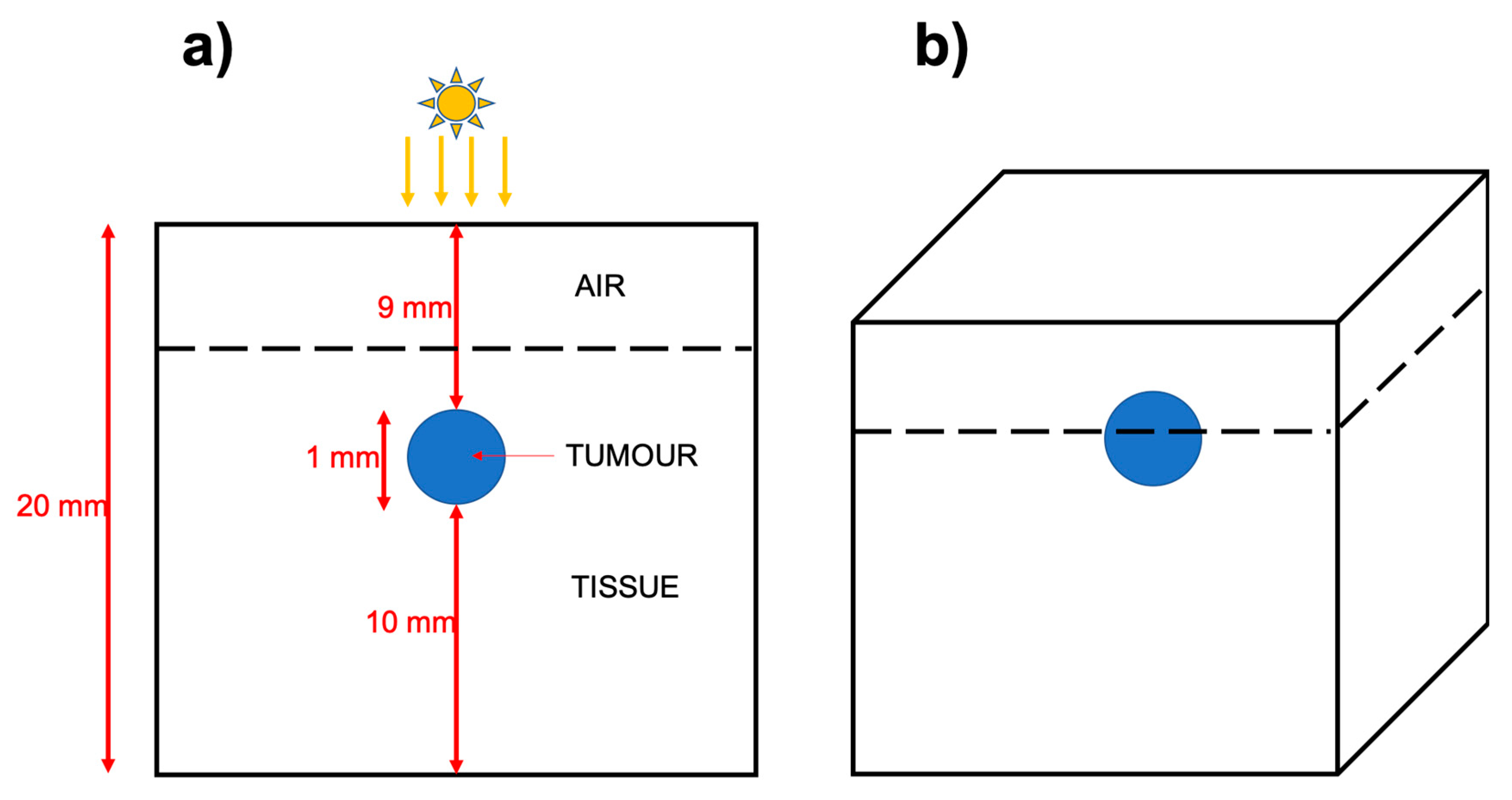 Biomolecules 09 00343 g001