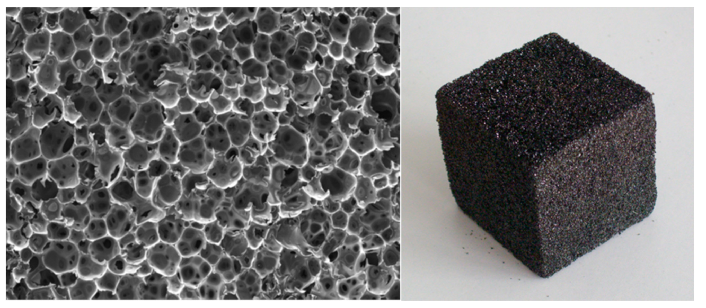 Biomolecules 09 00344 g006