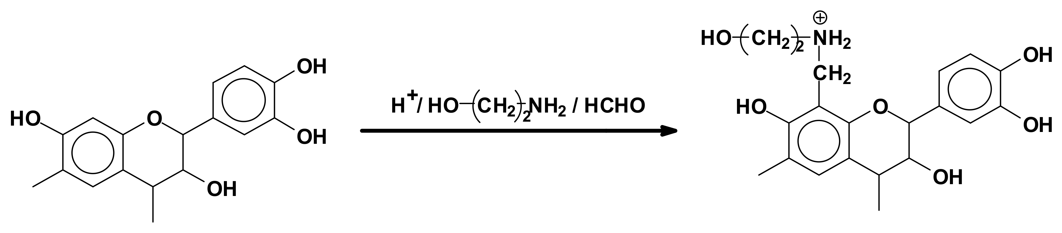 Biomolecules 09 00344 g007