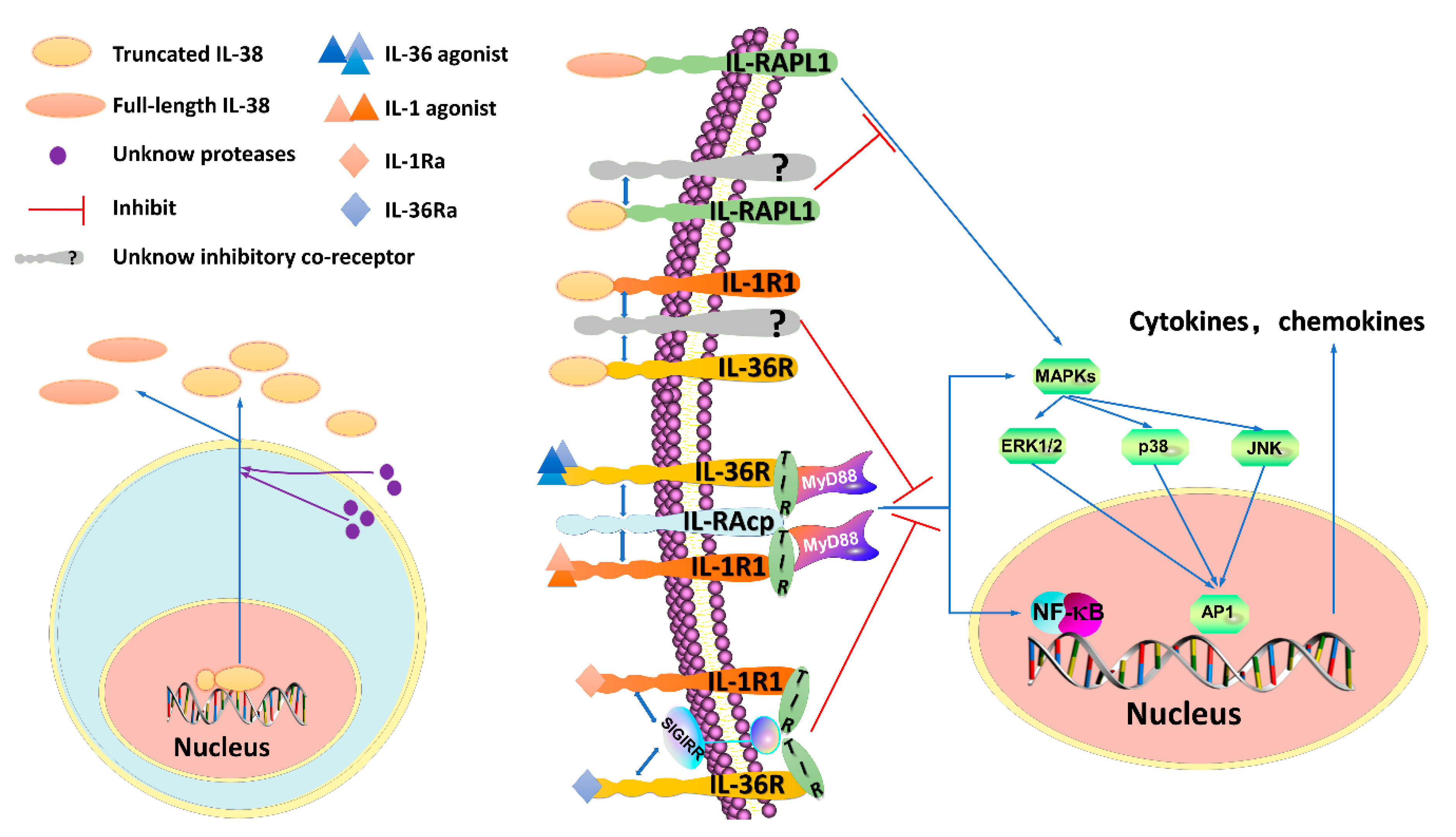 Biomolecules 09 00345 g001