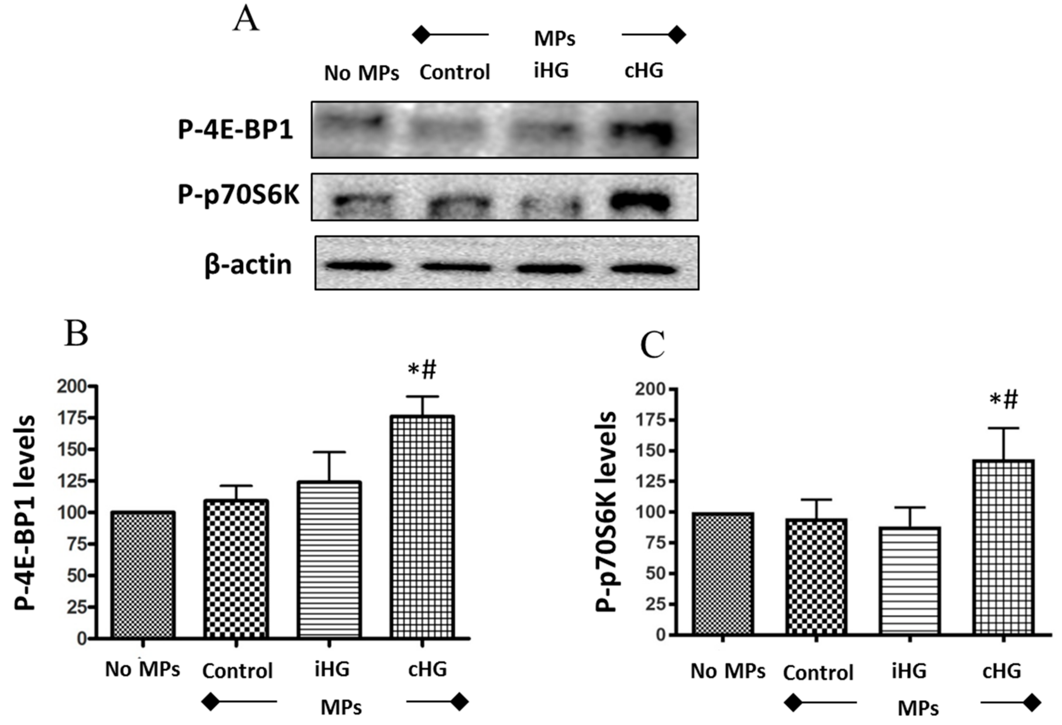 Biomolecules 09 00348 g002