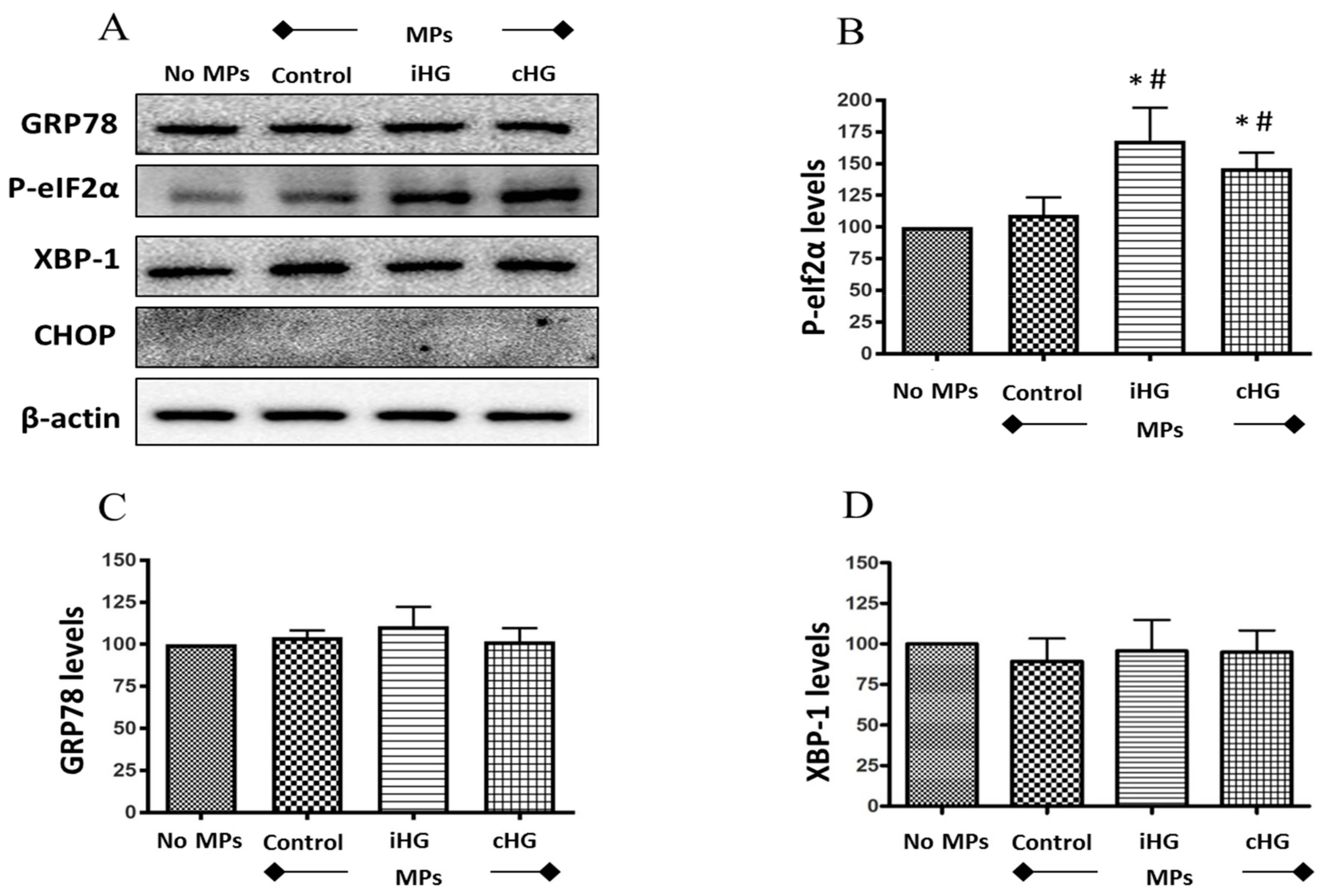 Biomolecules 09 00348 g004