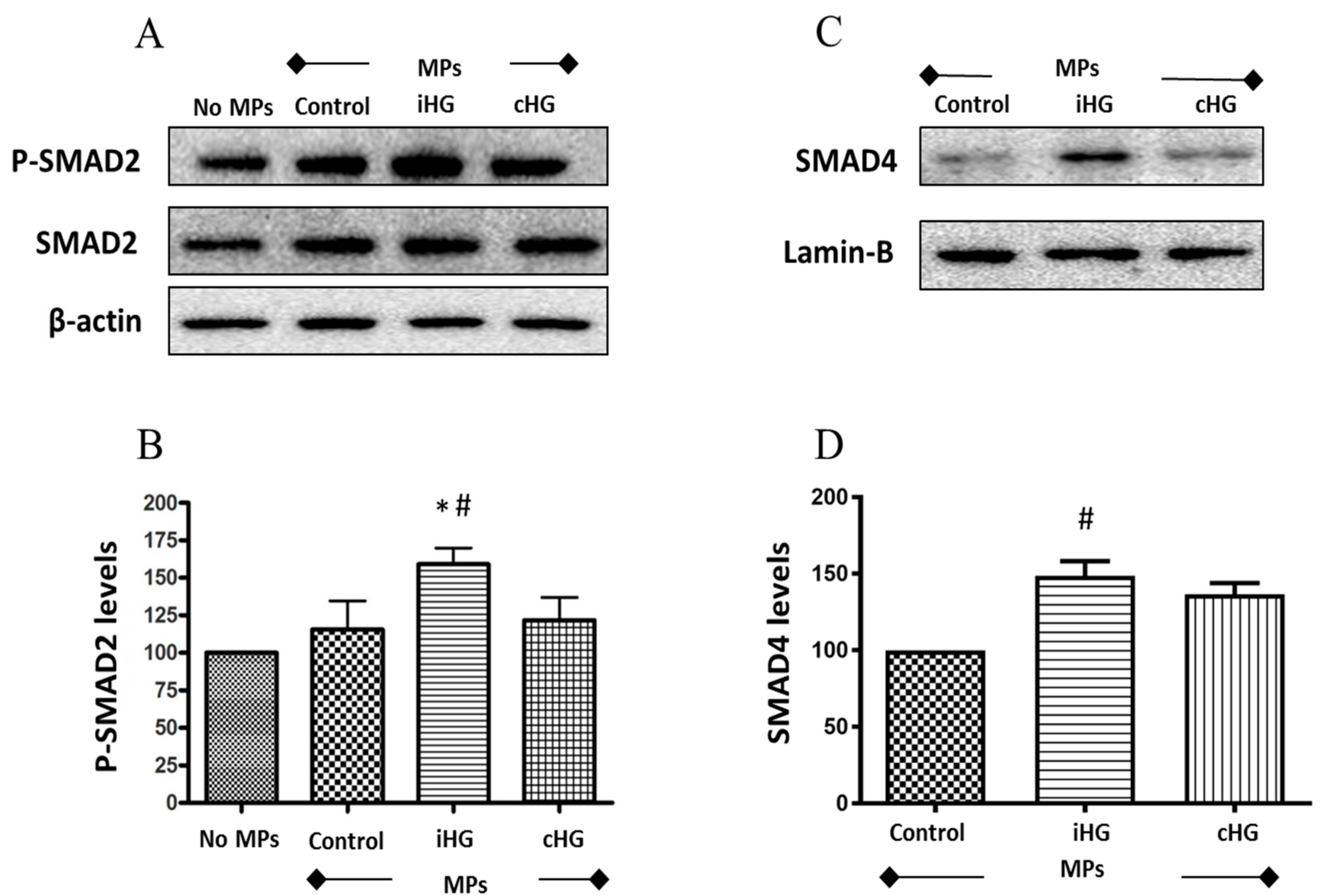 Biomolecules 09 00348 g005
