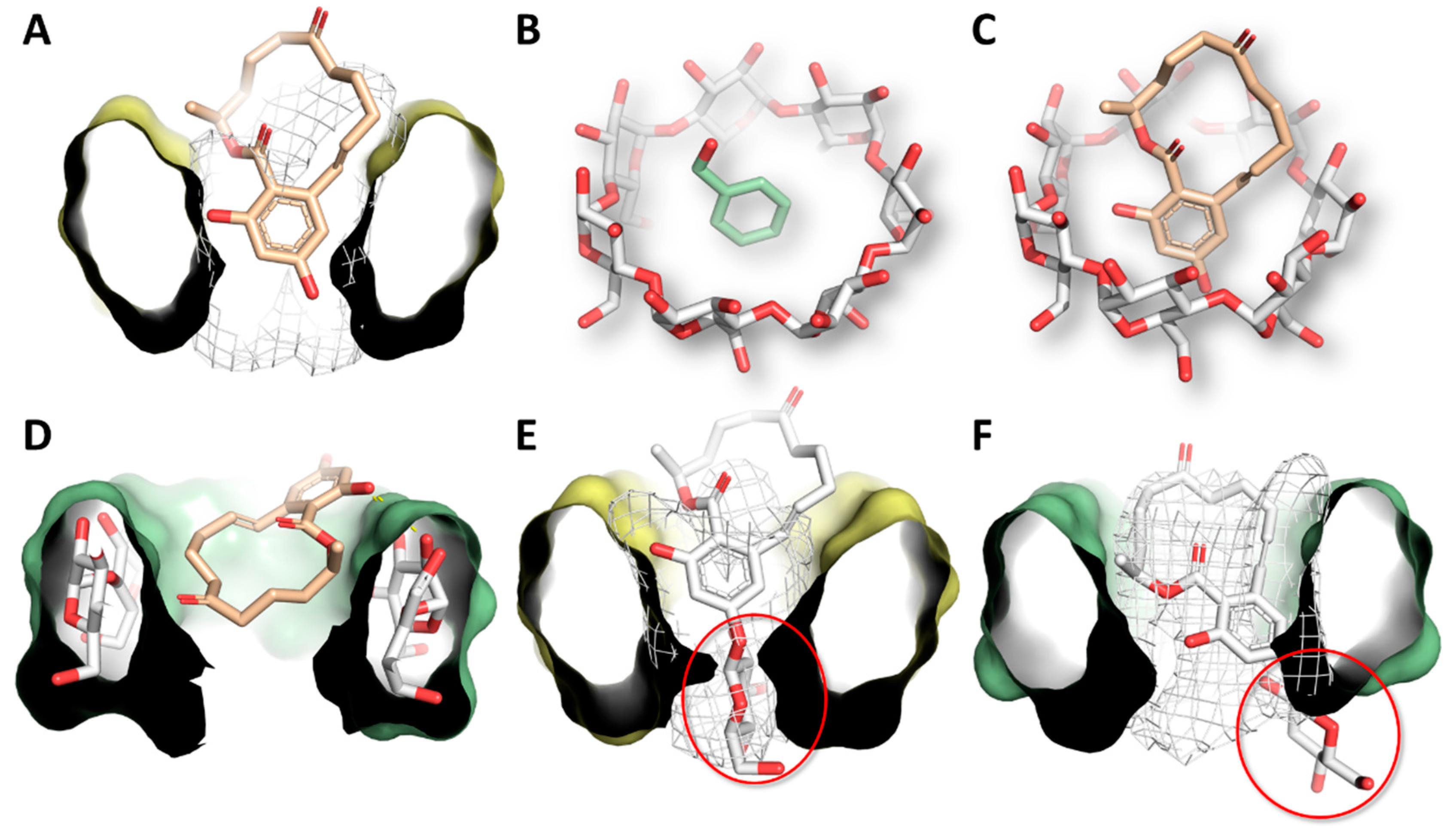 Biomolecules 09 00354 g007 Biomolecules 09 00354 g007