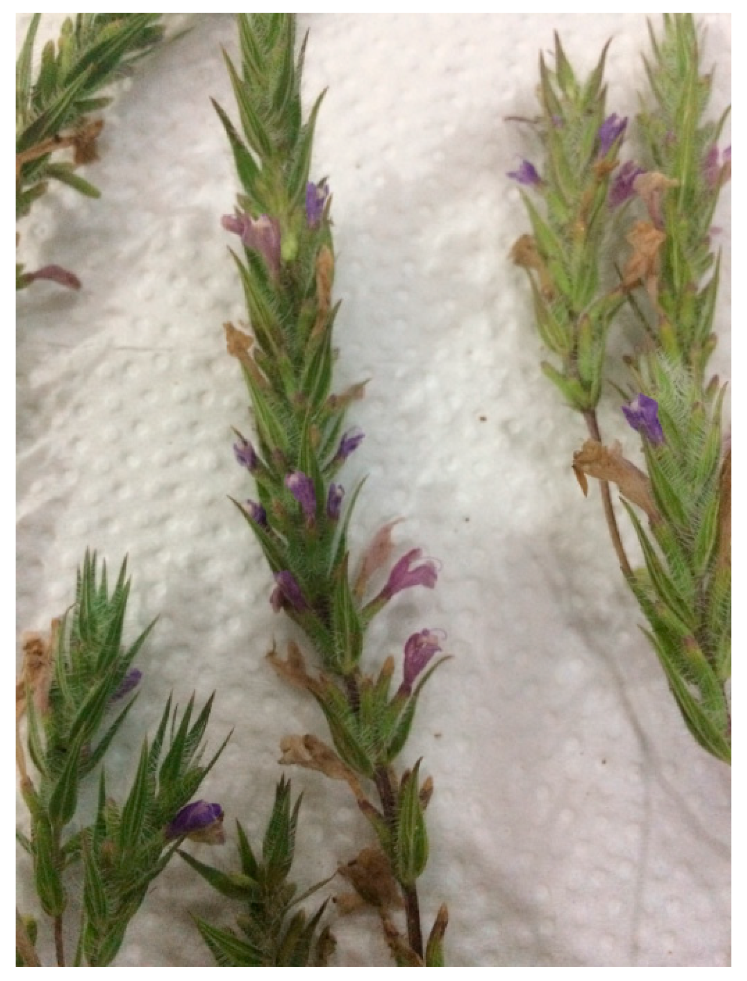 Biomolecules 09 00367 g001