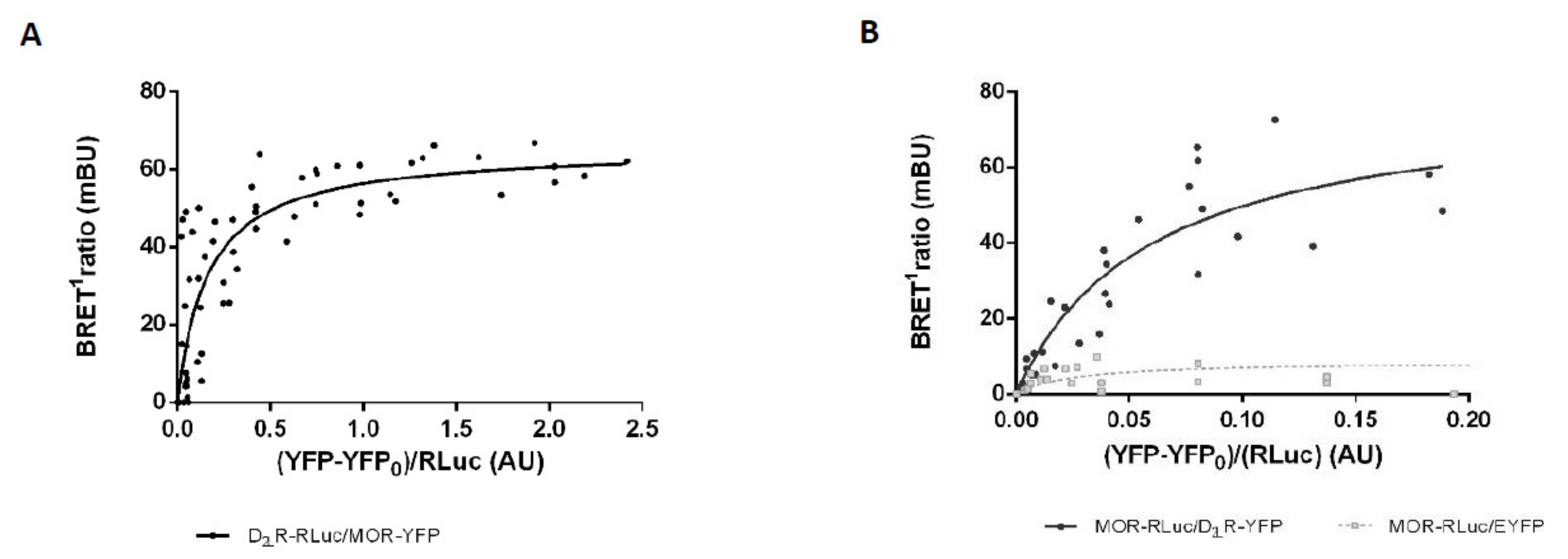 Biomolecules 09 00368 g003