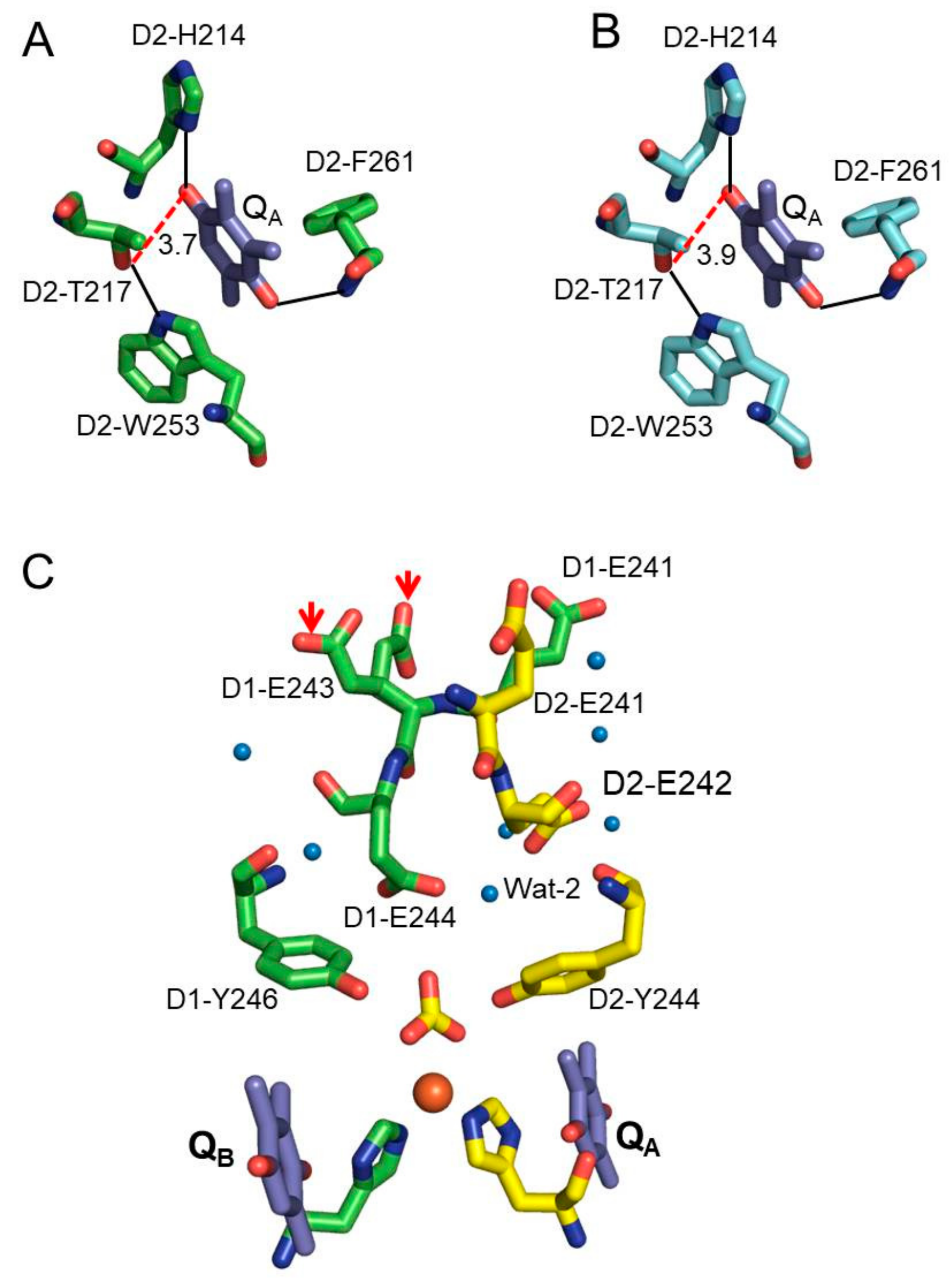 Biomolecules 09 00371 g003