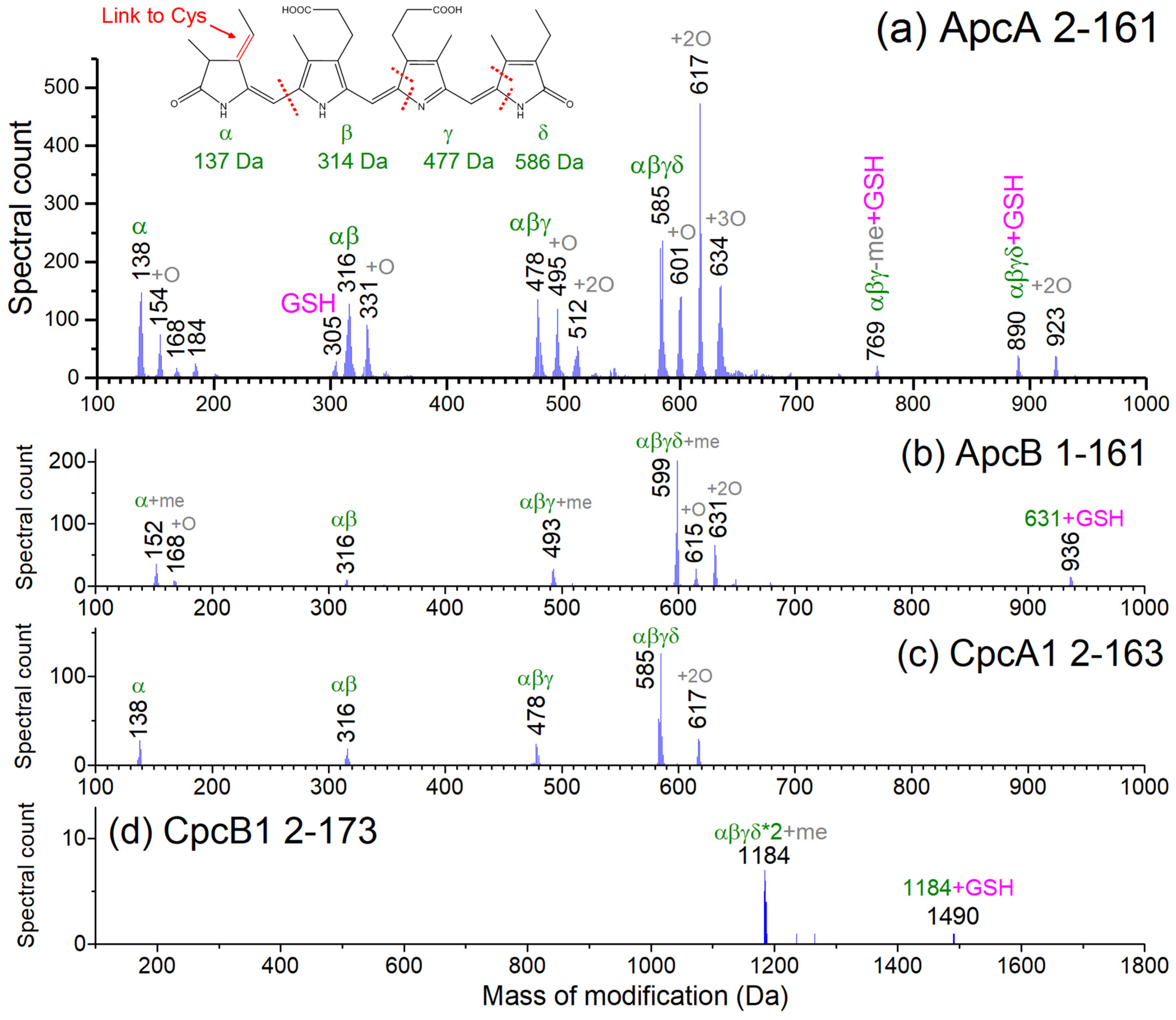Biomolecules 09 00374 g003 Biomolecules 09 00374 g003