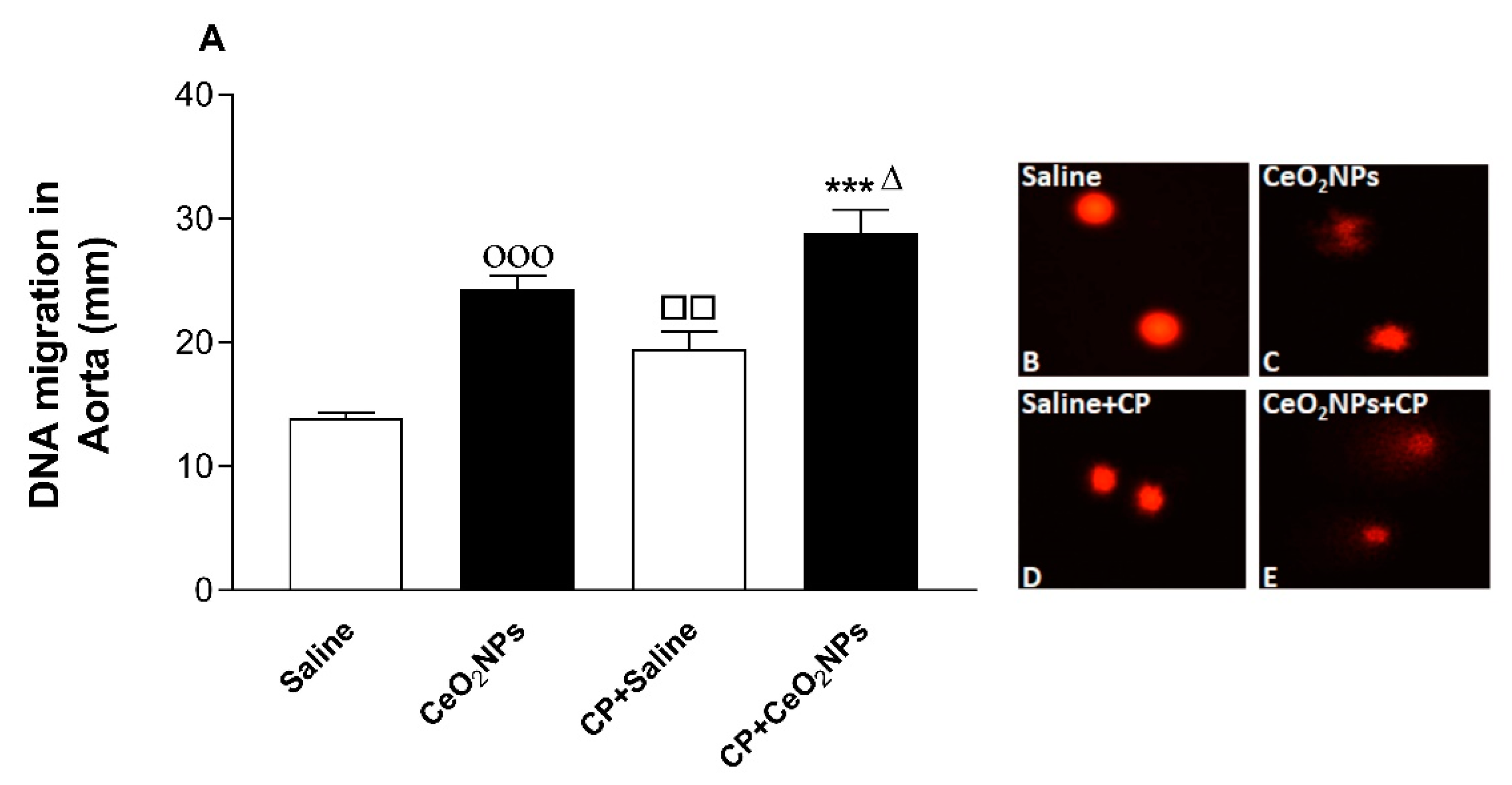 Biomolecules 09 00376 g008
