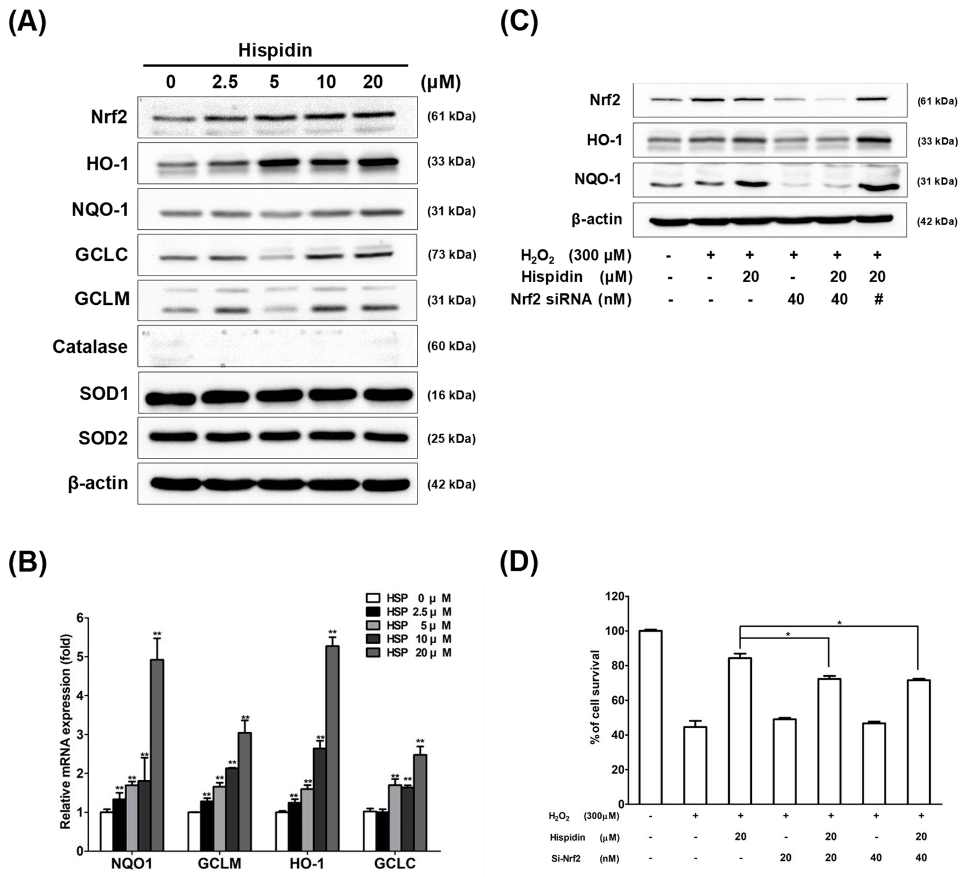 Biomolecules 09 00380 g003