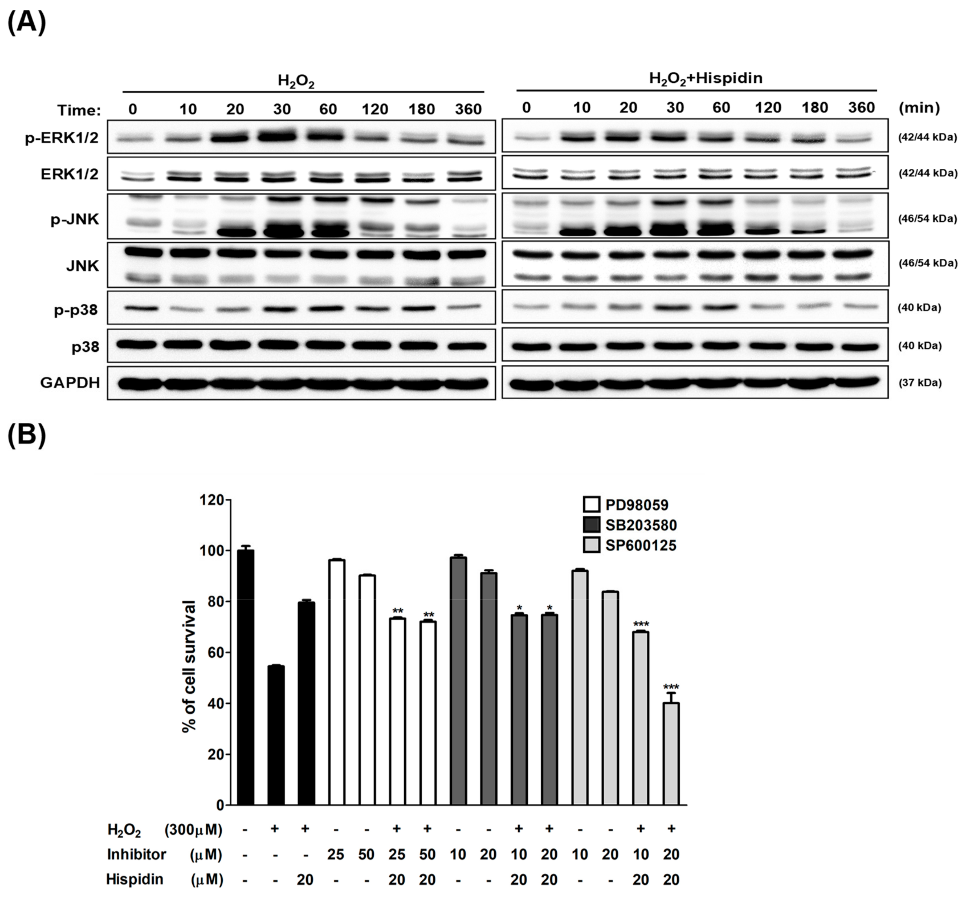 Biomolecules 09 00380 g004