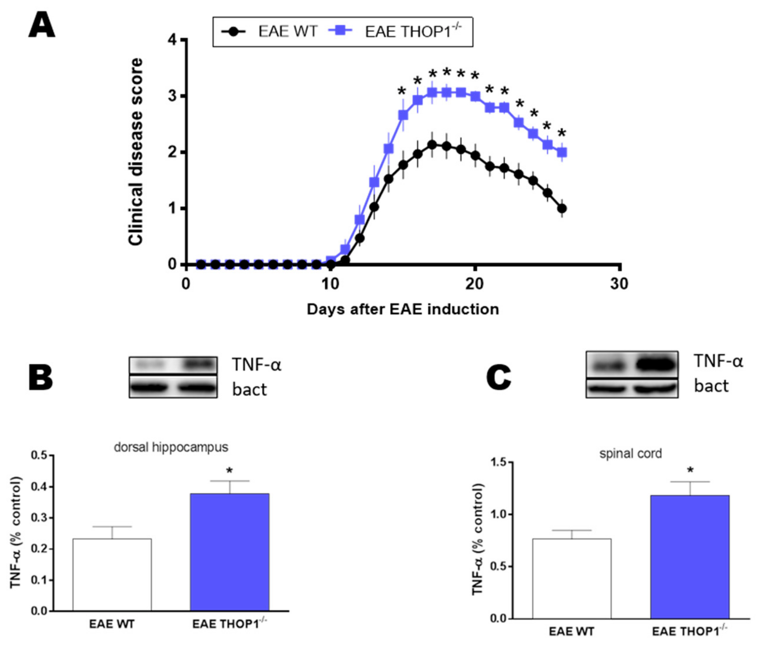 Biomolecules 09 00382 g003 Biomolecules 09 00382 g003