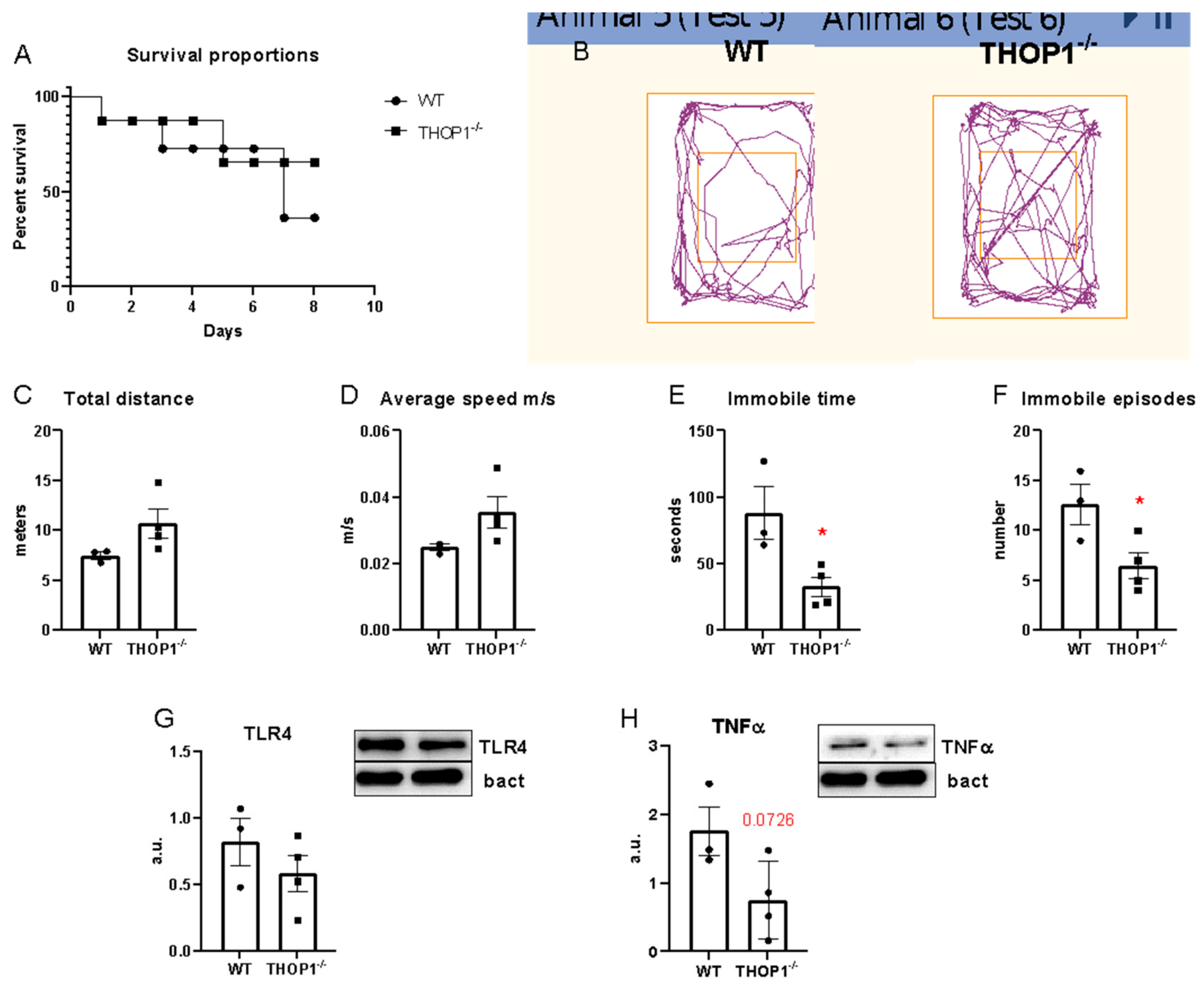 Biomolecules 09 00382 g004 Biomolecules 09 00382 g004