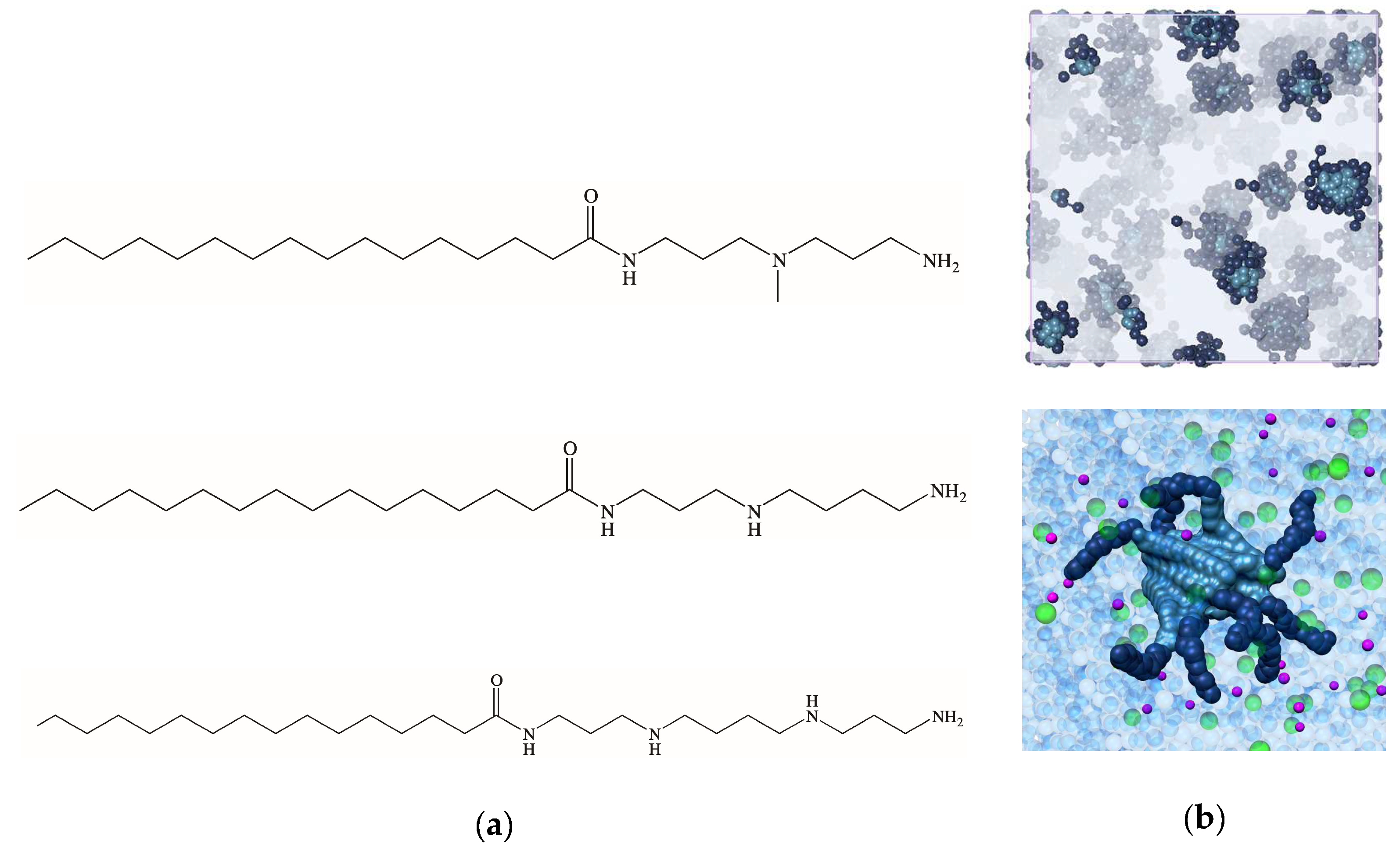 Biomolecules 09 00385 g010