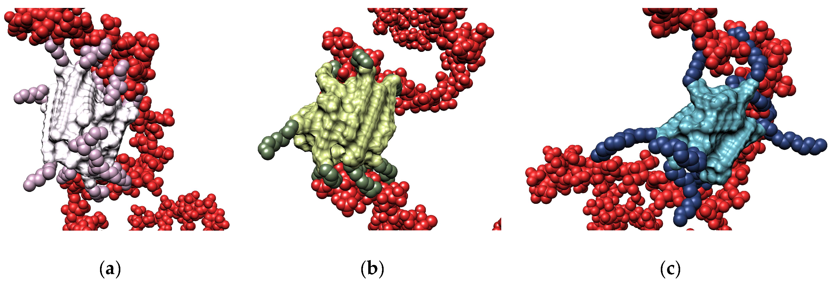 Biomolecules 09 00385 g011
