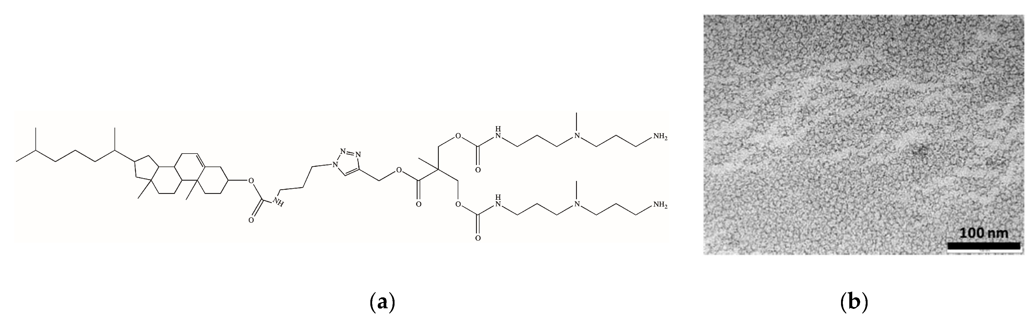 Biomolecules 09 00385 g014