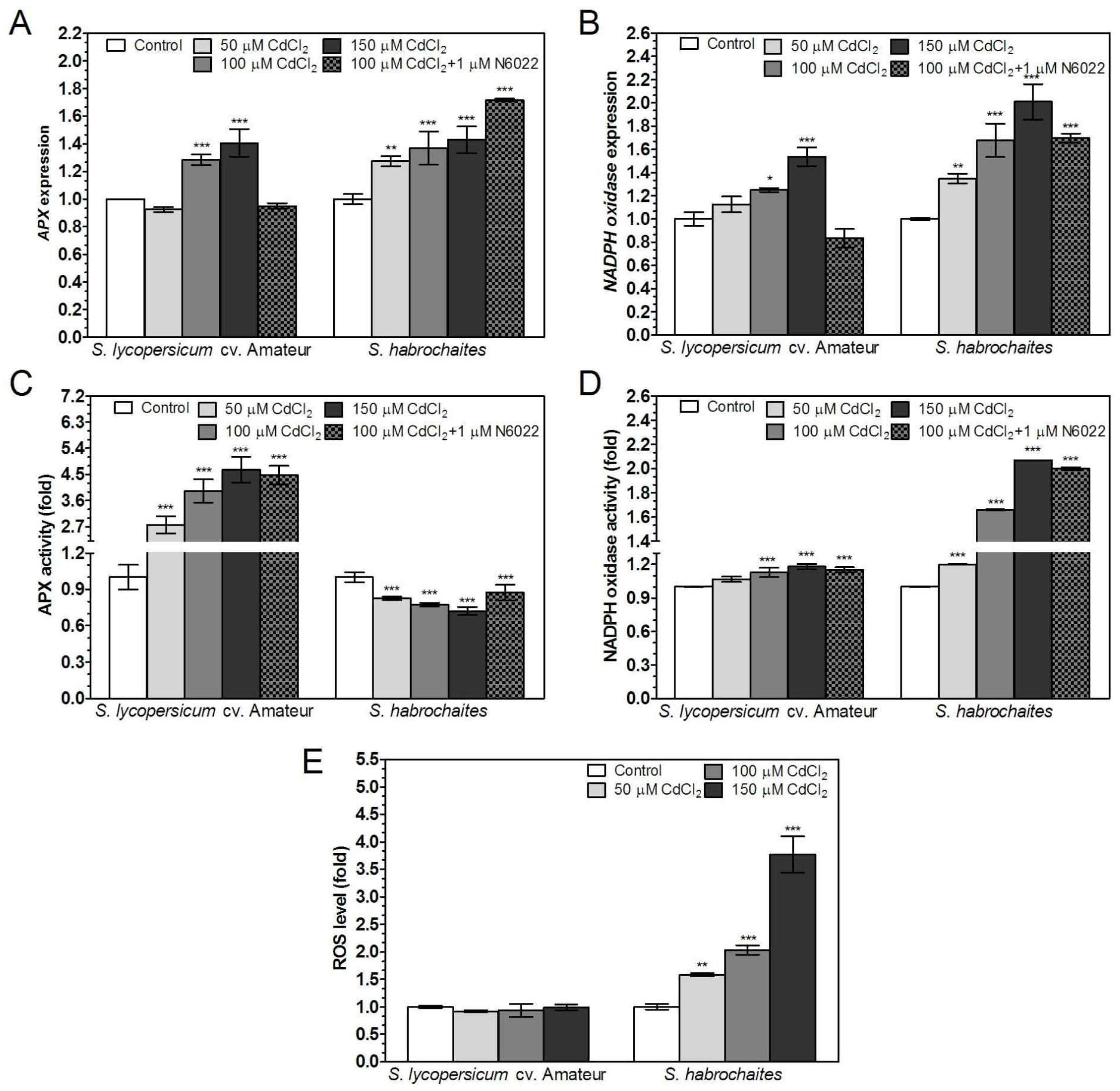 Biomolecules 09 00393 g006