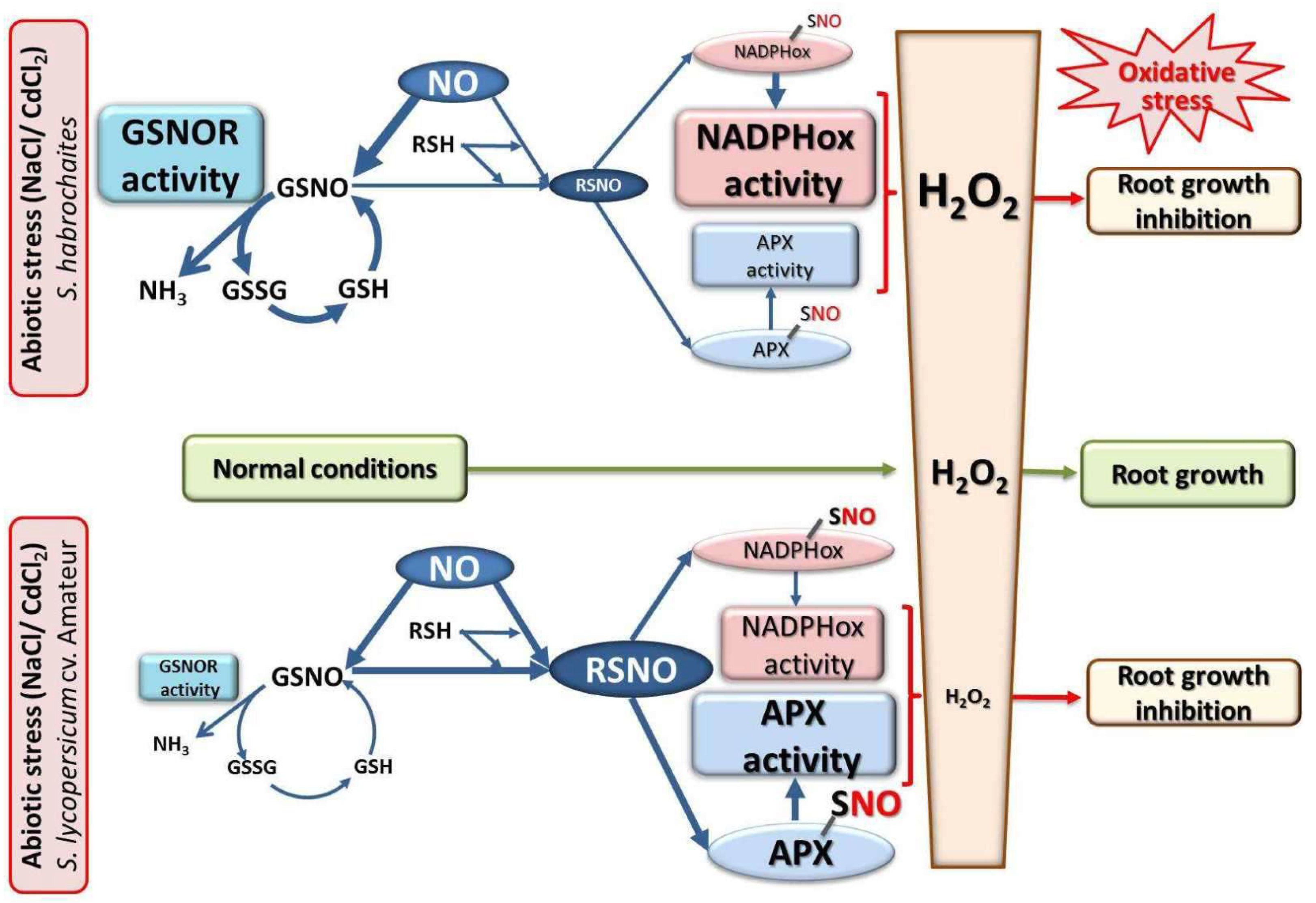 Biomolecules 09 00393 g009