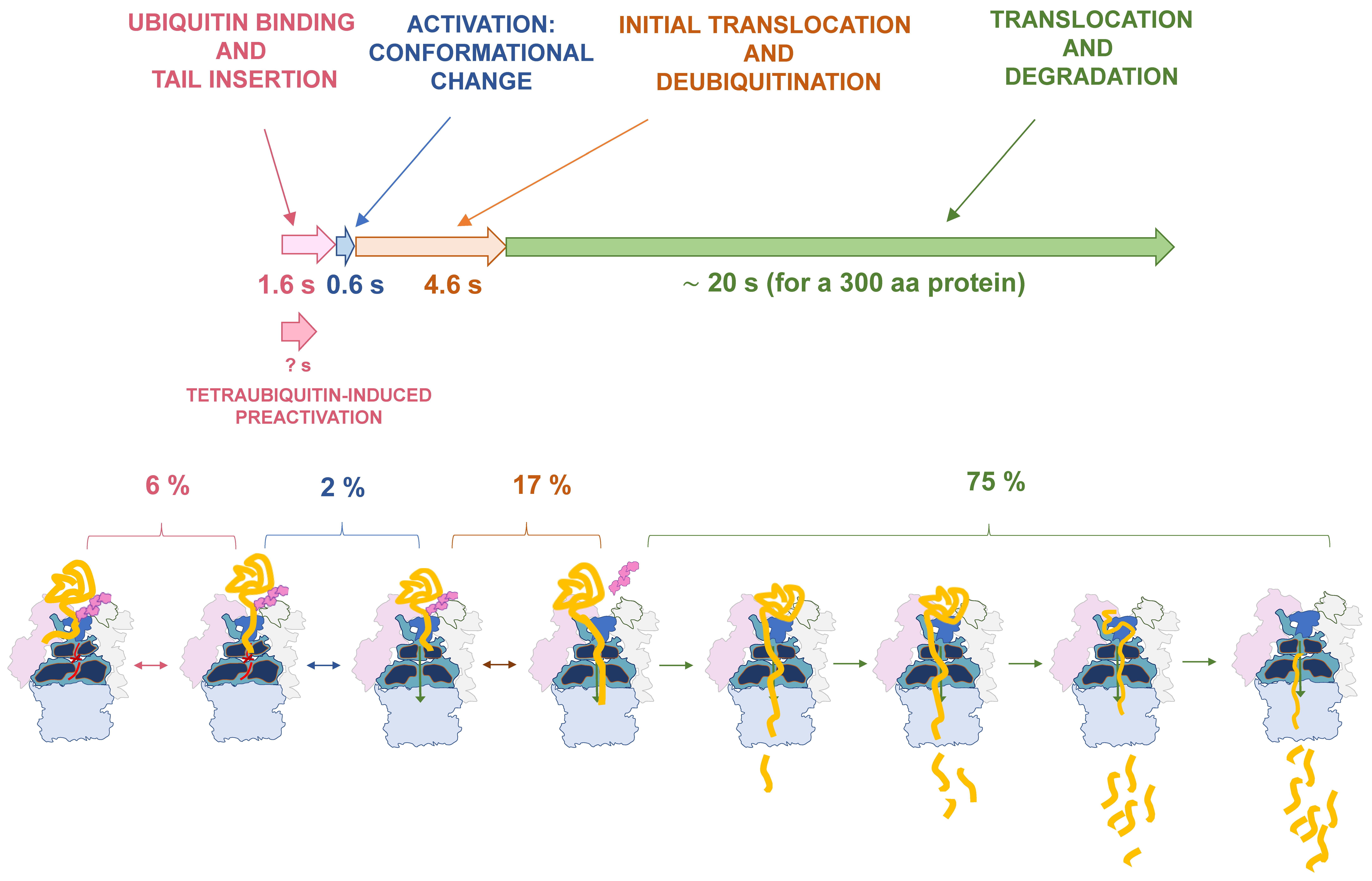 Biomolecules 09 00395 g002