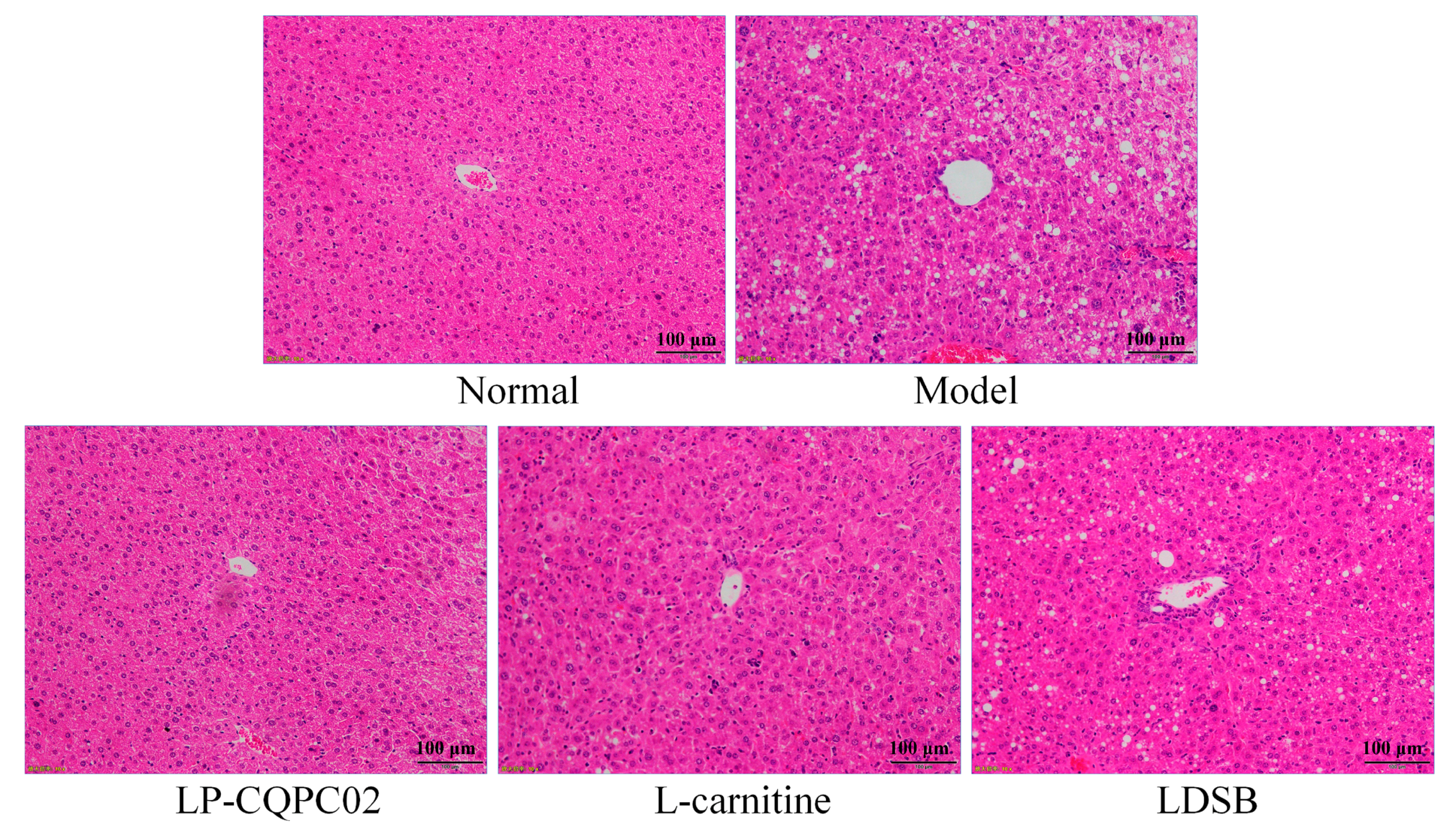 Biomolecules 09 00407 g002