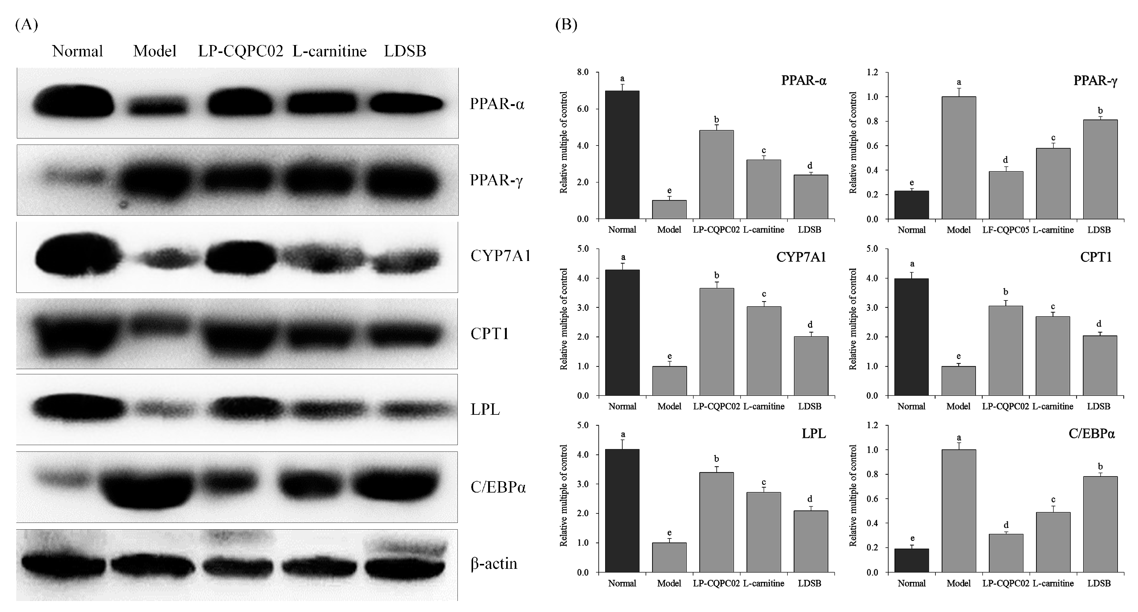Biomolecules 09 00407 g004