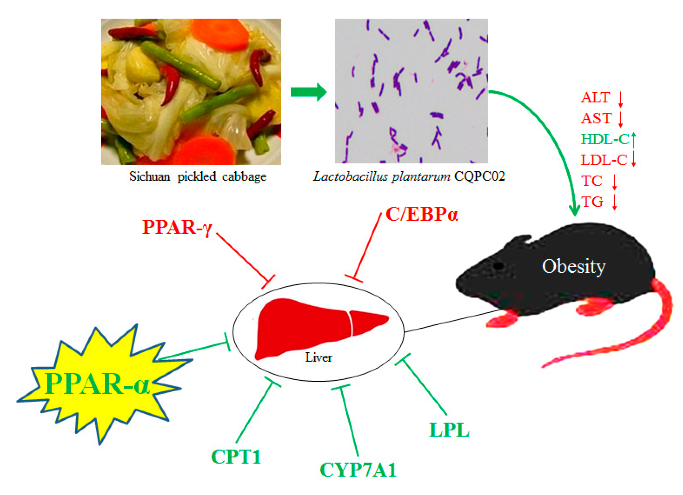 Biomolecules 09 00407 g006