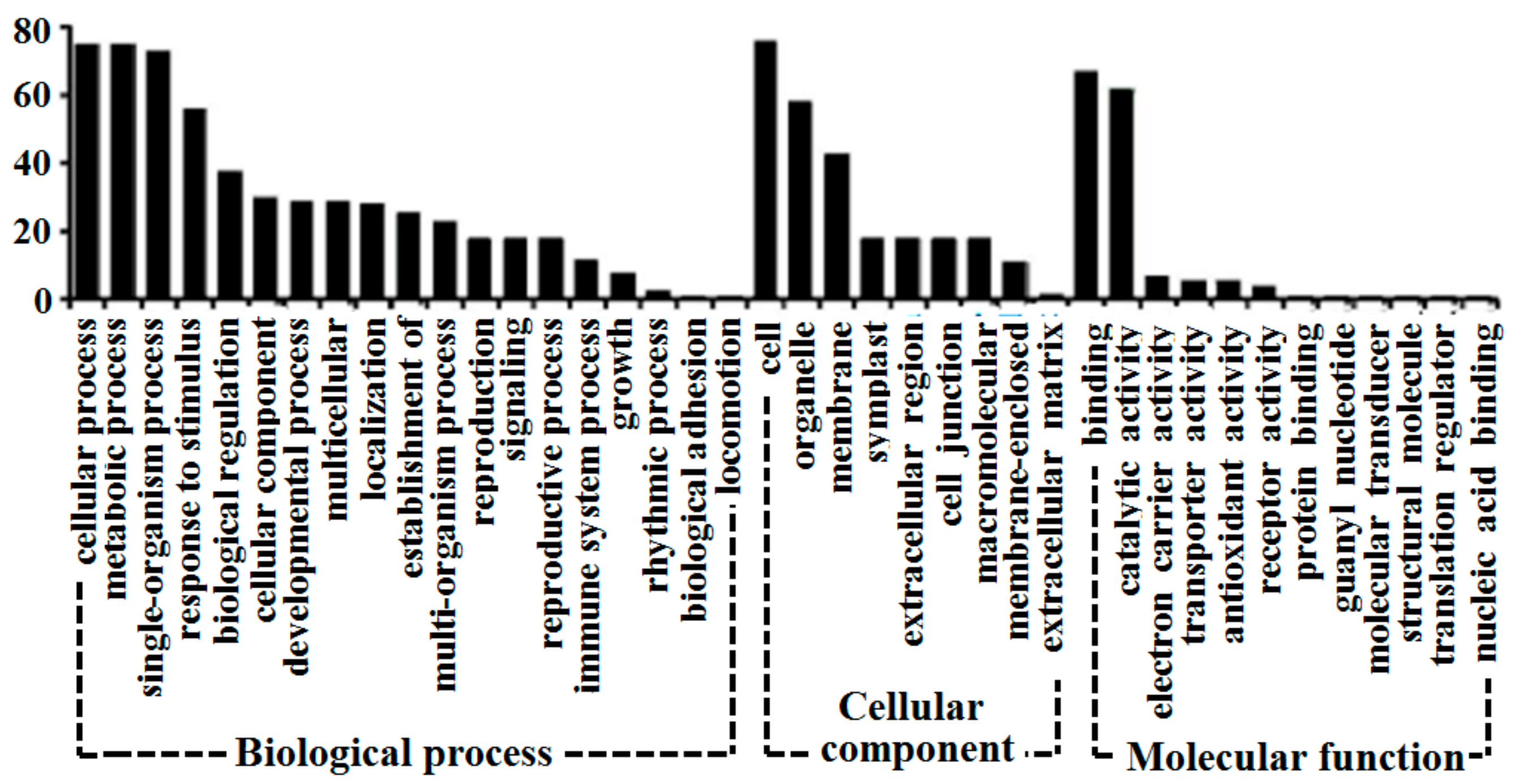 Biomolecules 09 00415 g004