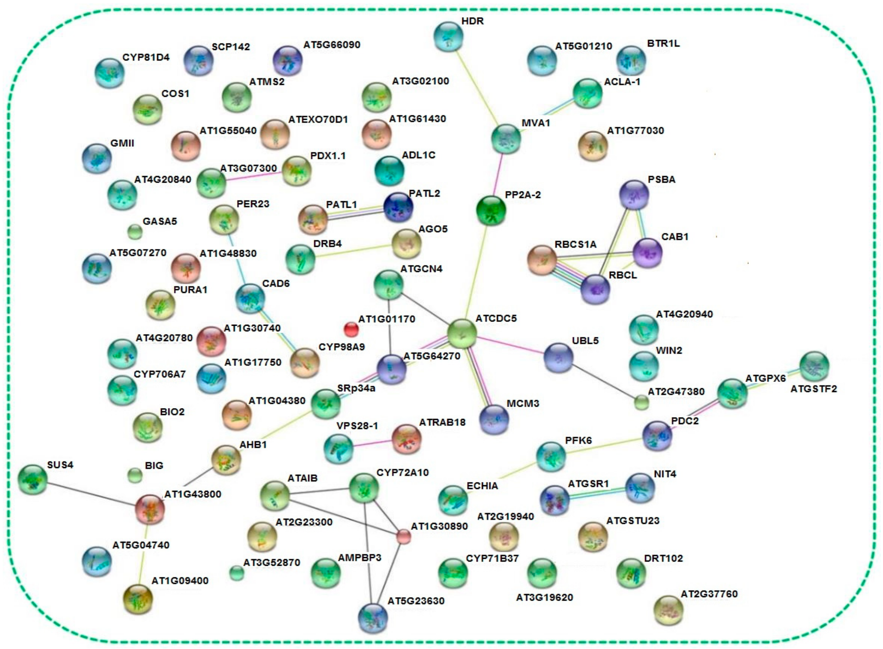 Biomolecules 09 00415 g005