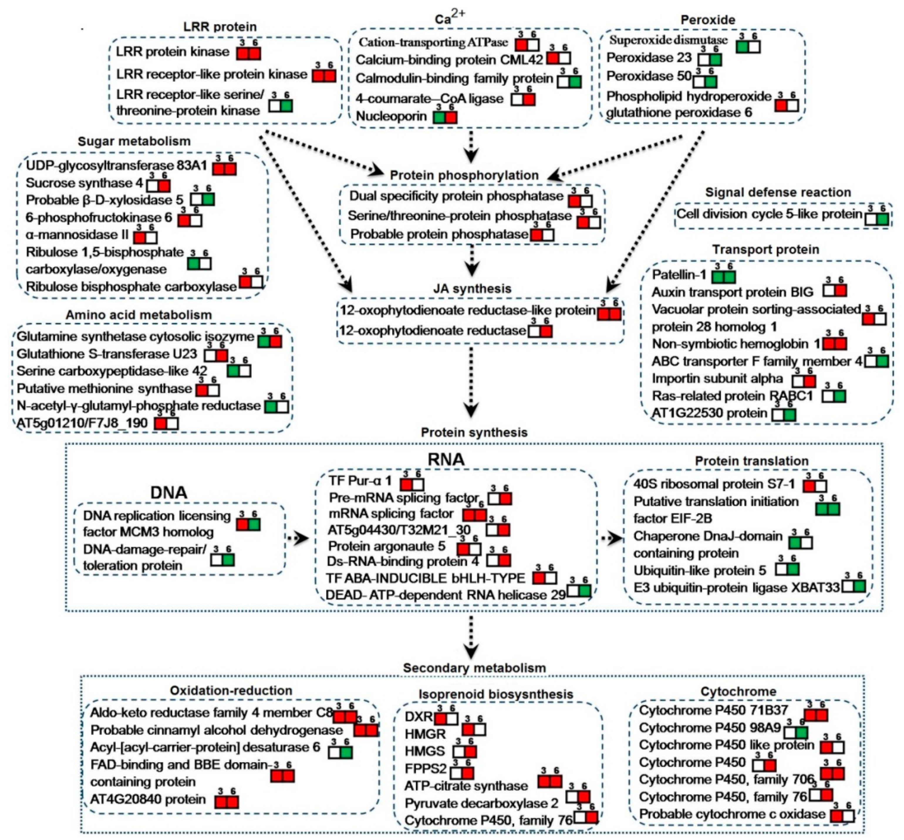 Biomolecules 09 00415 g006