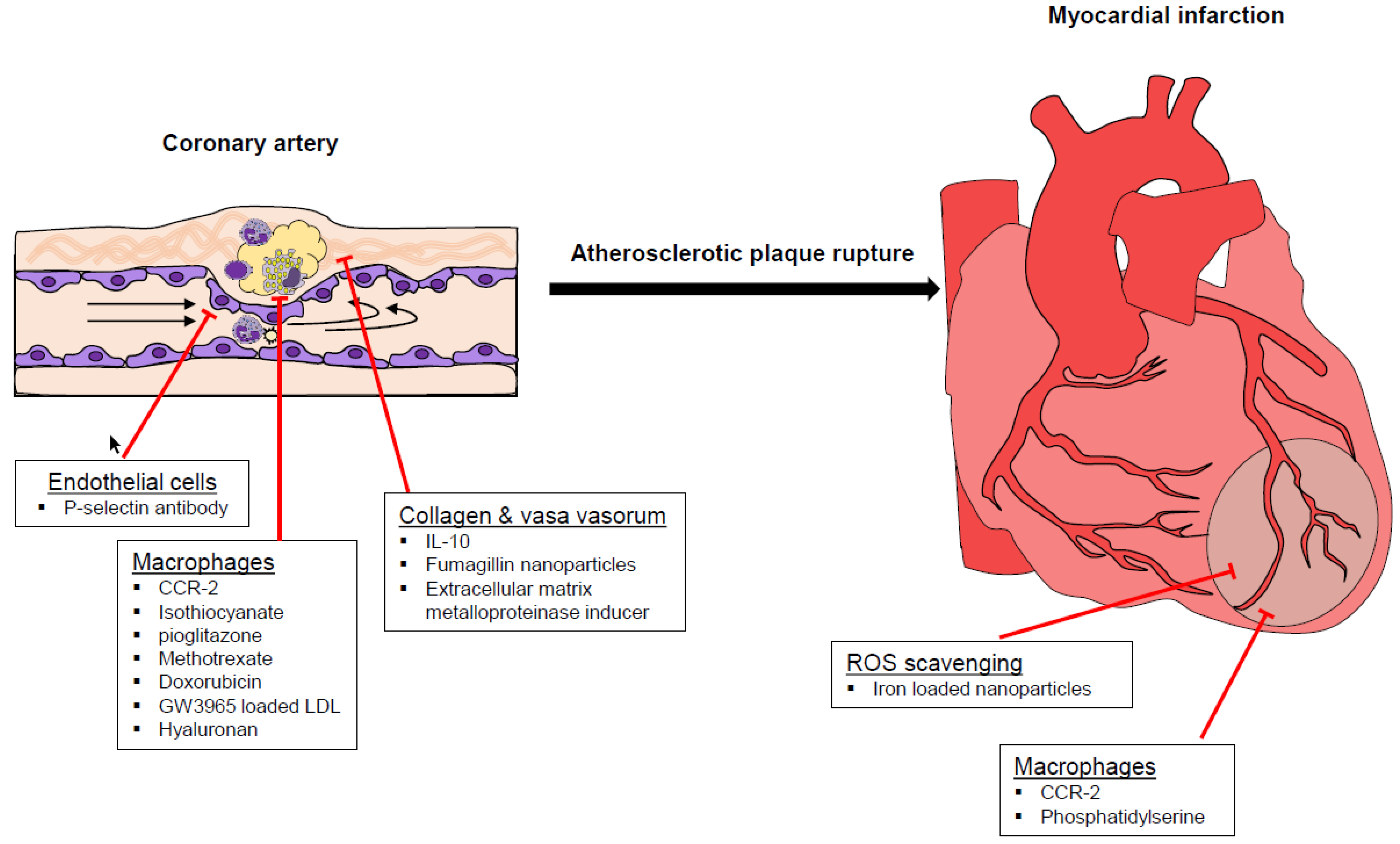 Biomolecules 09 00416 g001 Biomolecules 09 00416 g001