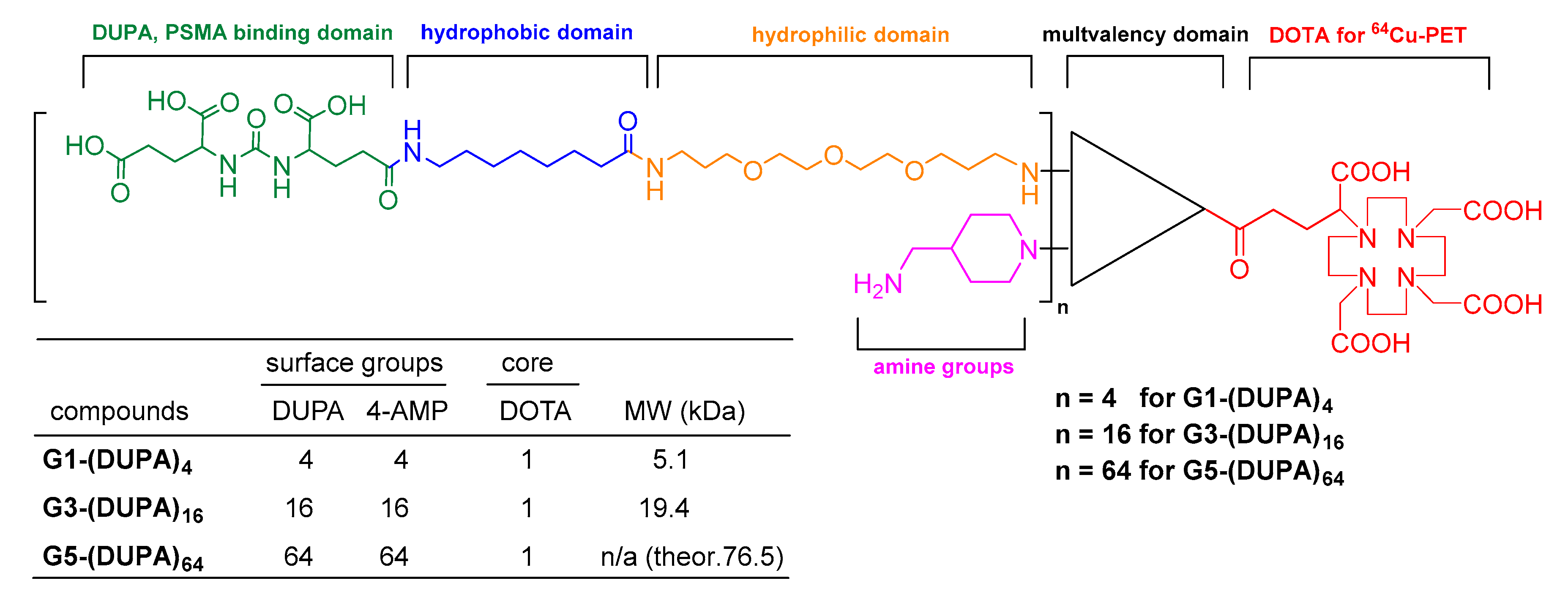 4 Biomolecules Chart