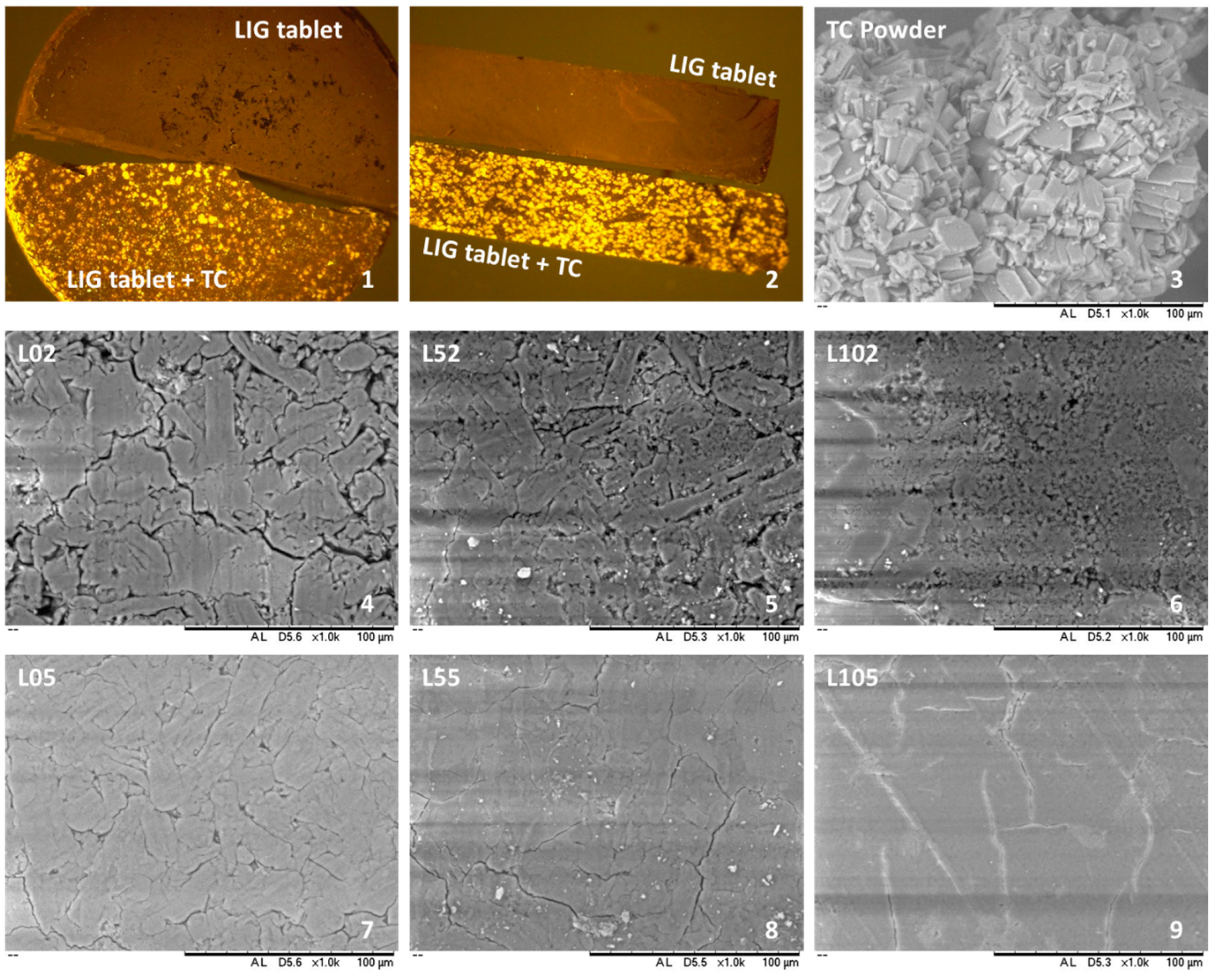 Biomolecules 09 00423 g003