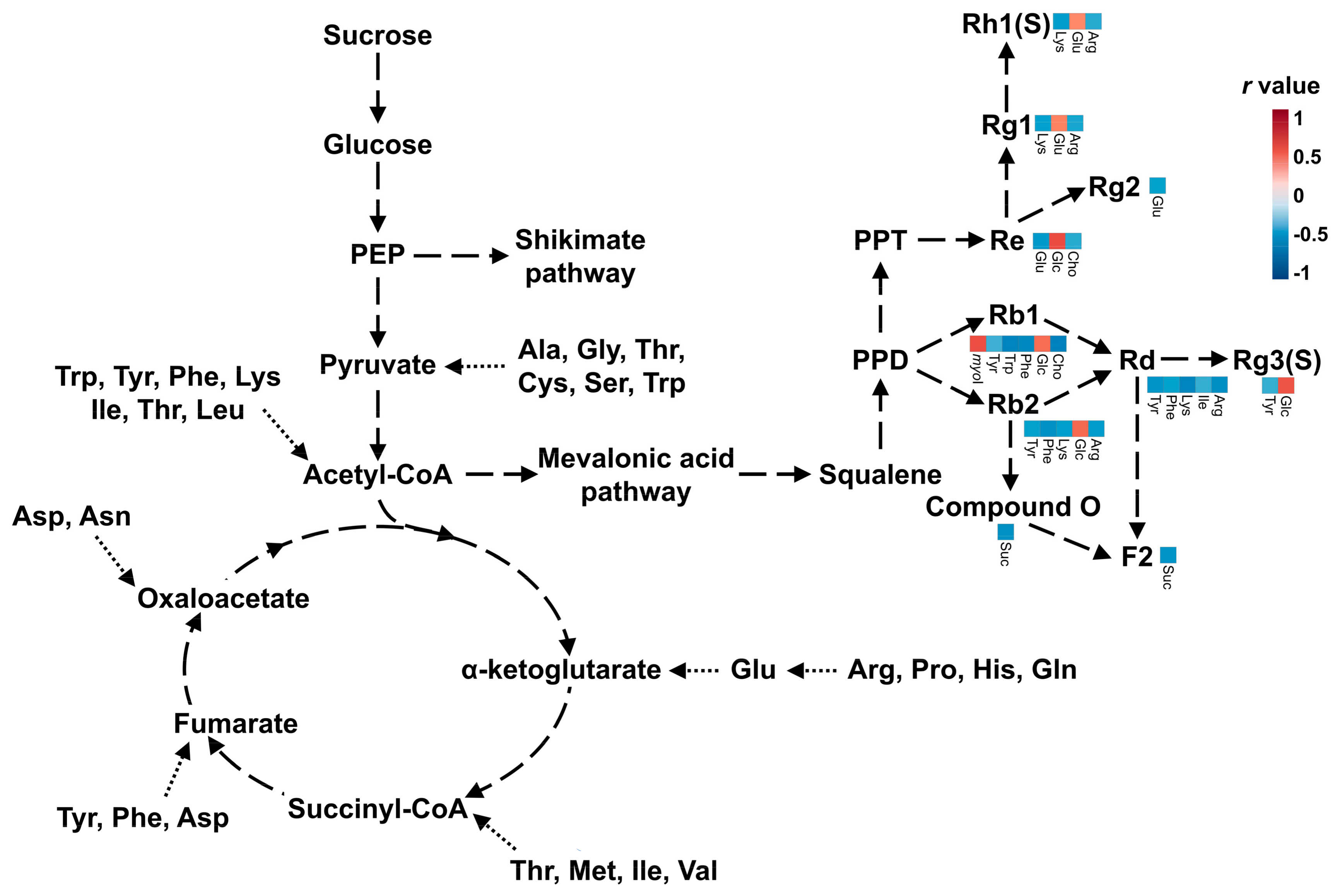 Biomolecules 09 00424 g007 Biomolecules 09 00424 g007