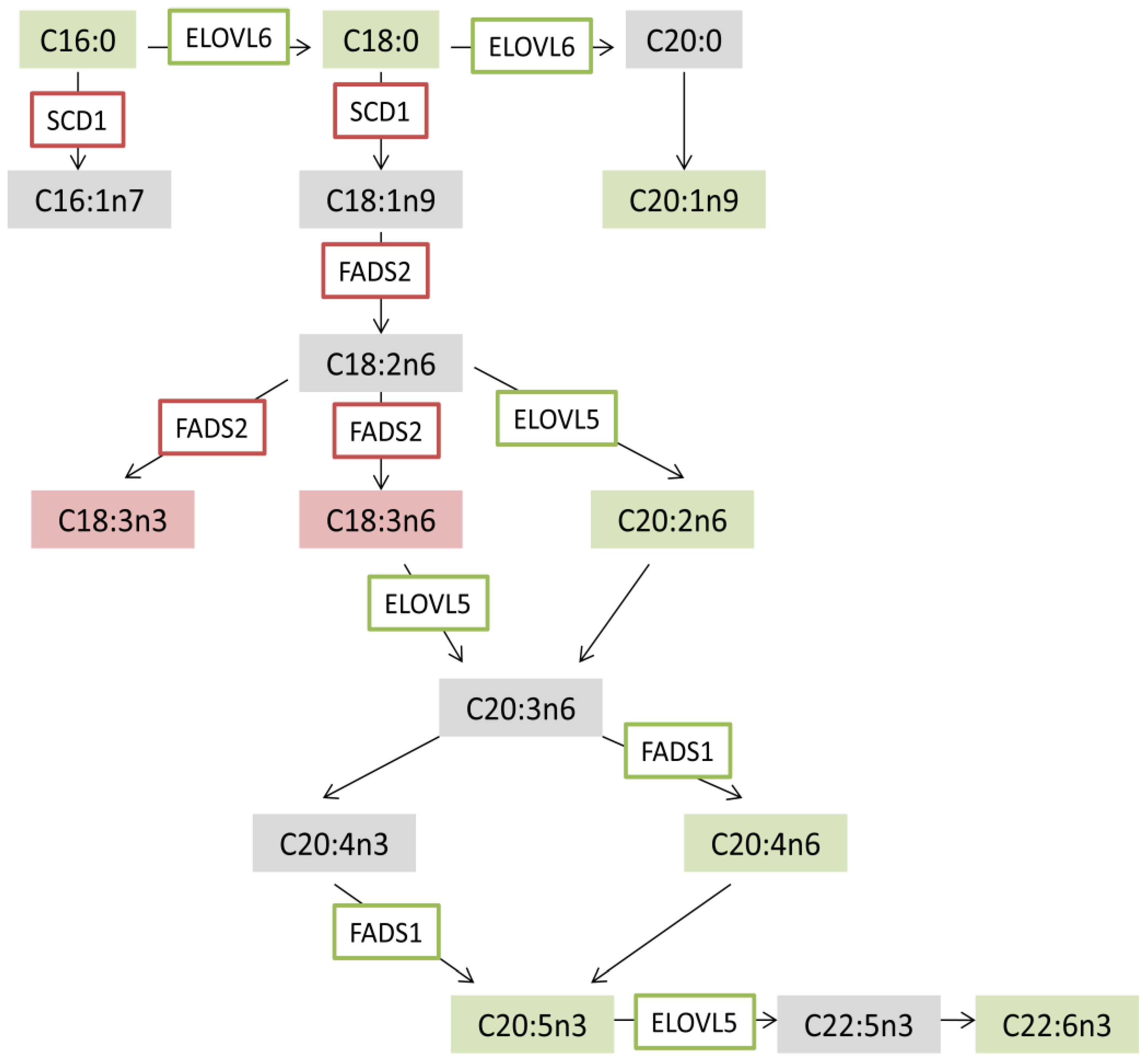 Biomolecules 09 00425 sch001