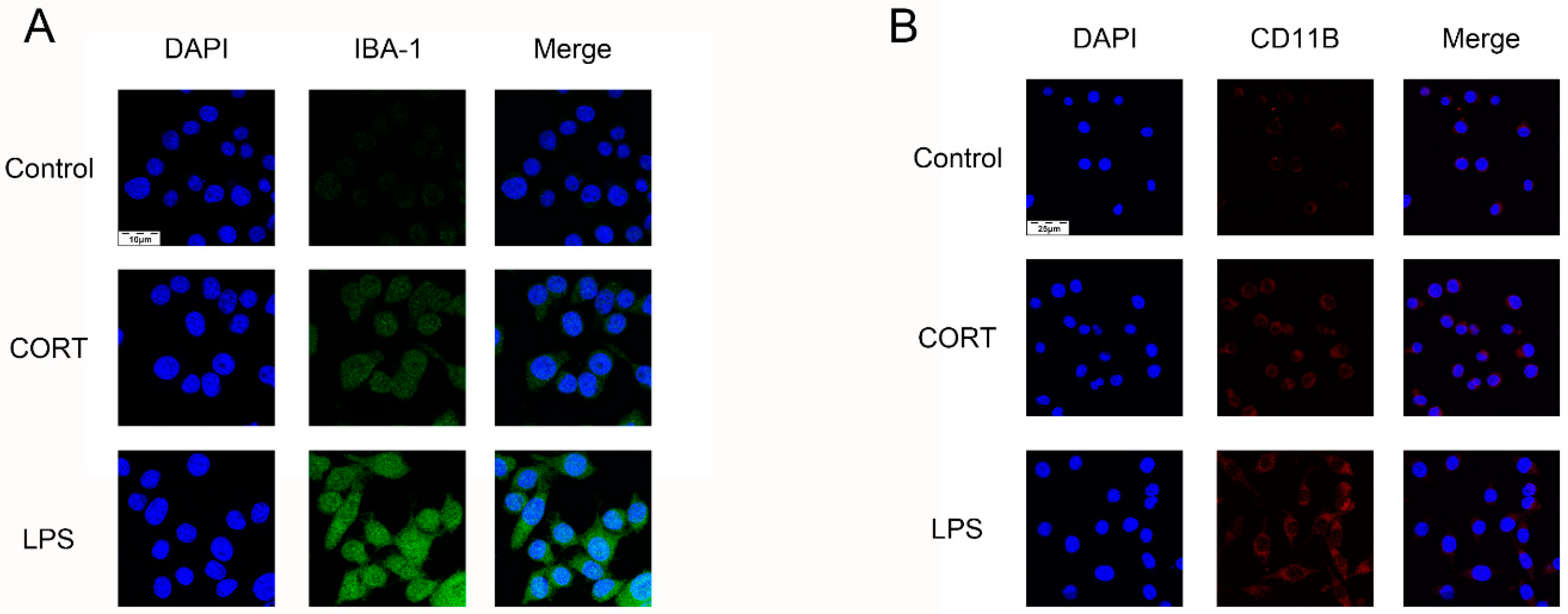 Biomolecules 09 00426 g010