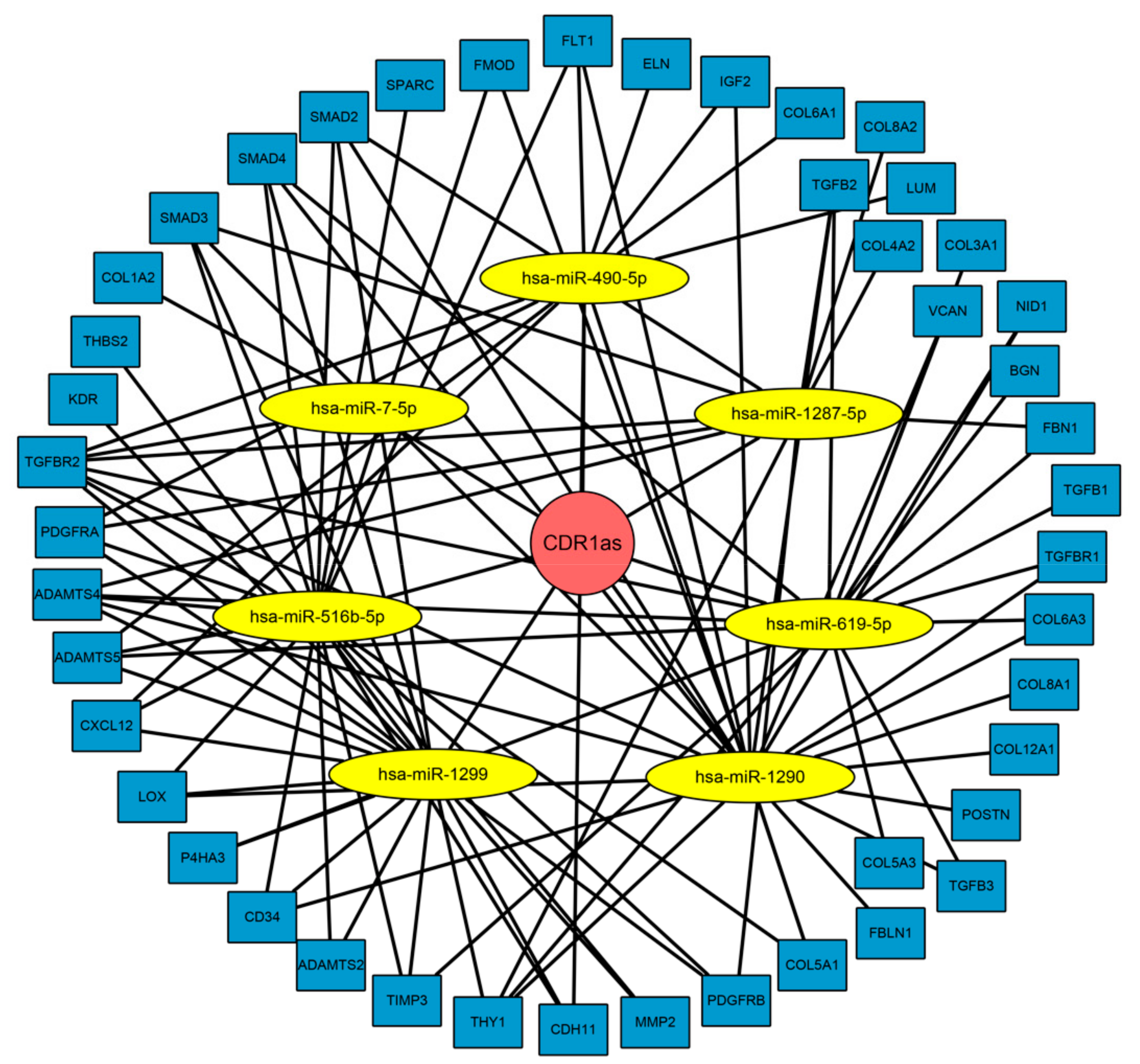 Biomolecules 09 00429 g006